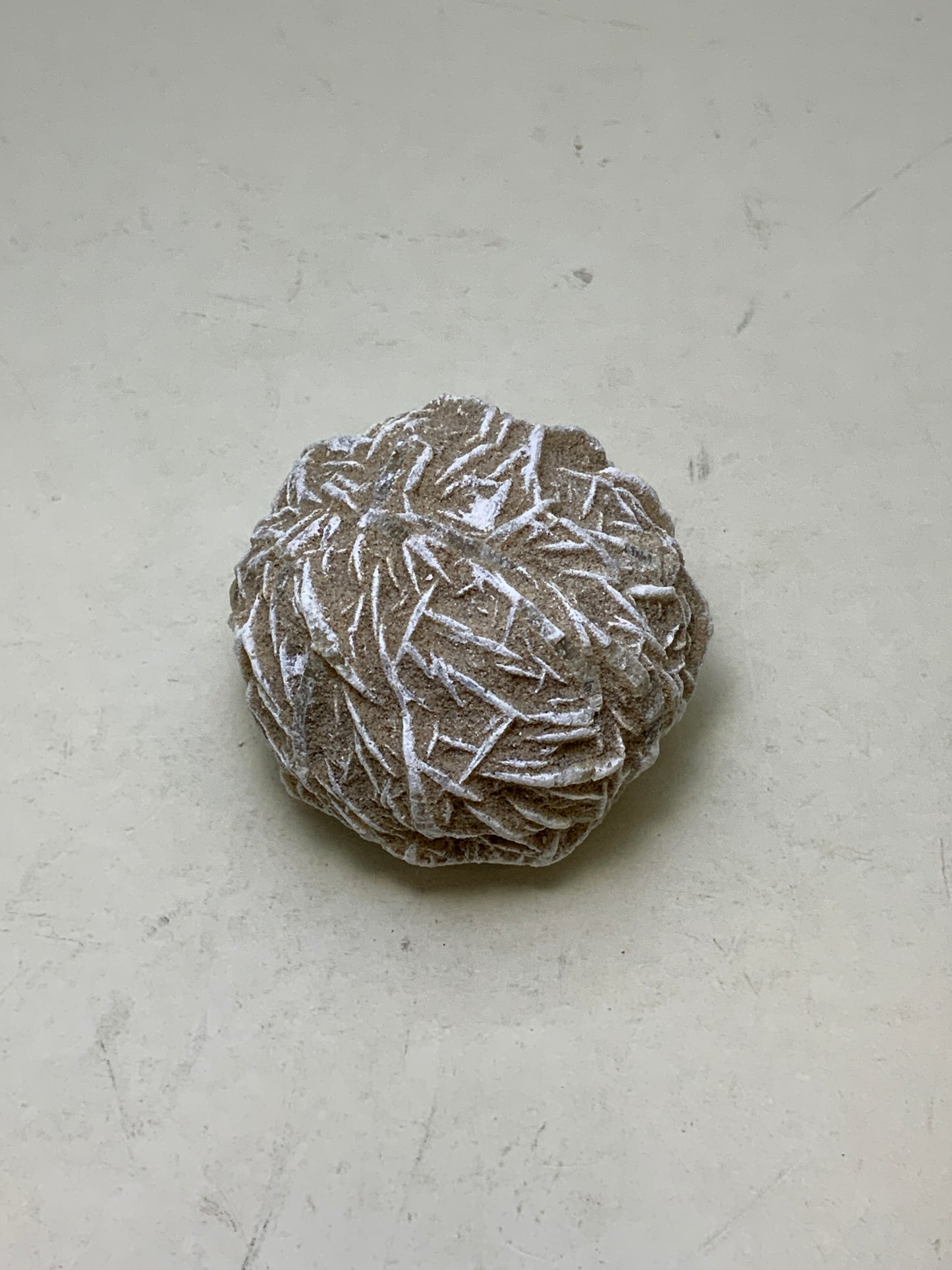 Desert Rose