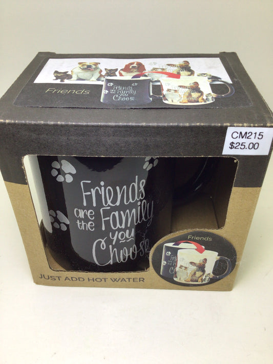 Friends Colour Change Mug