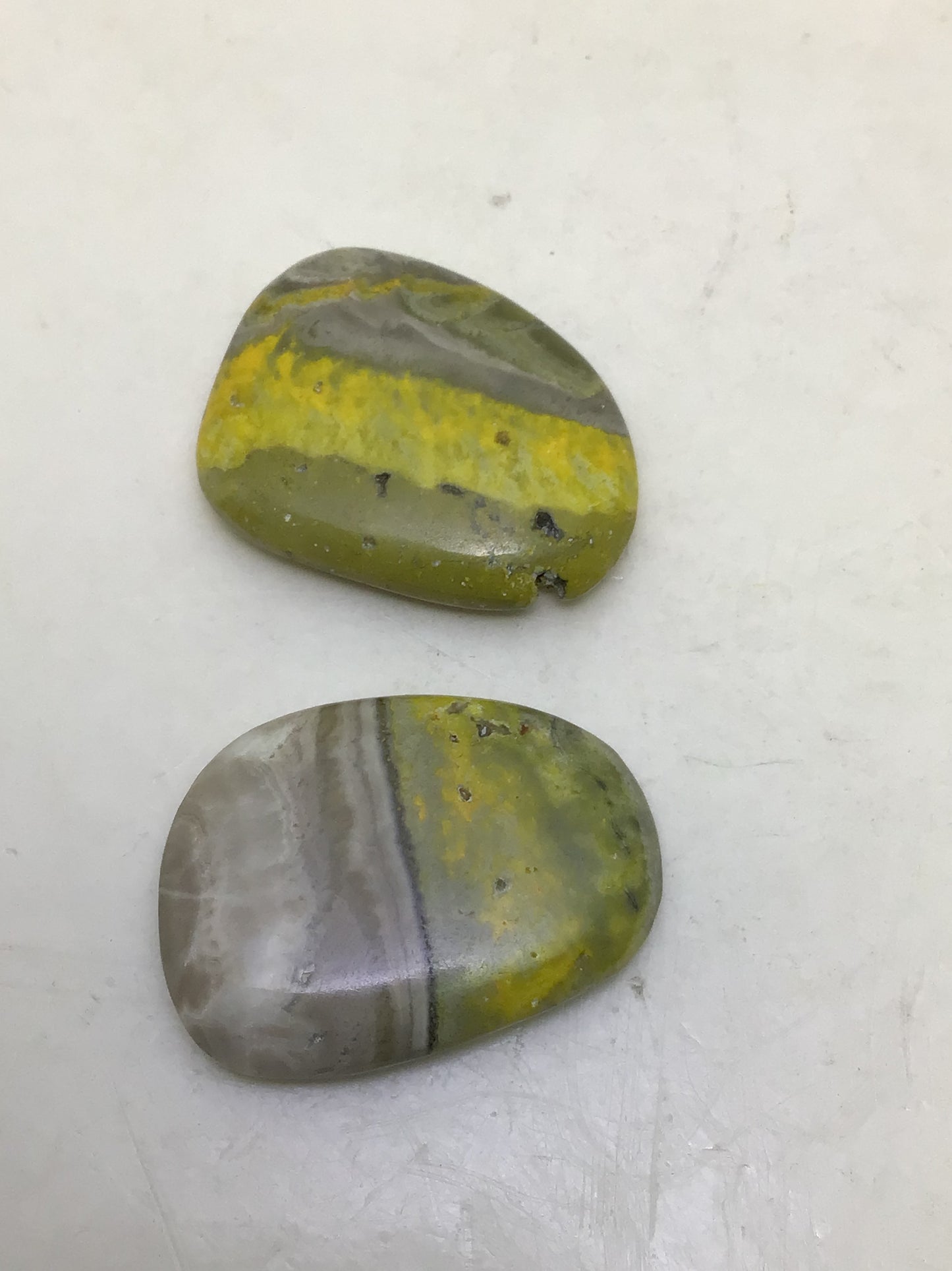Bumblebee Jasper