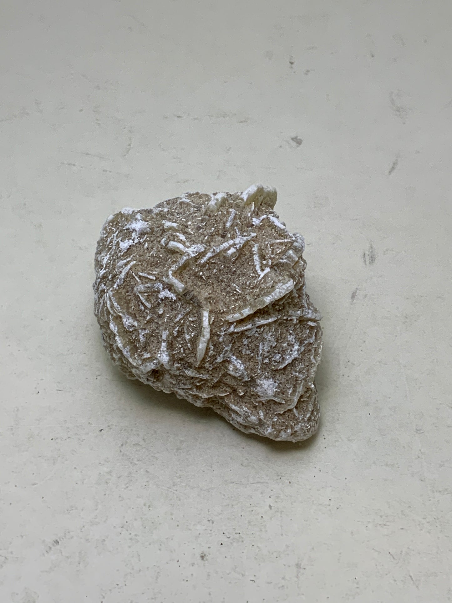 Desert Rose