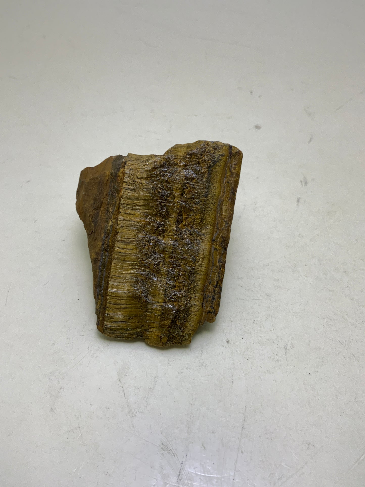 Tiger Eye