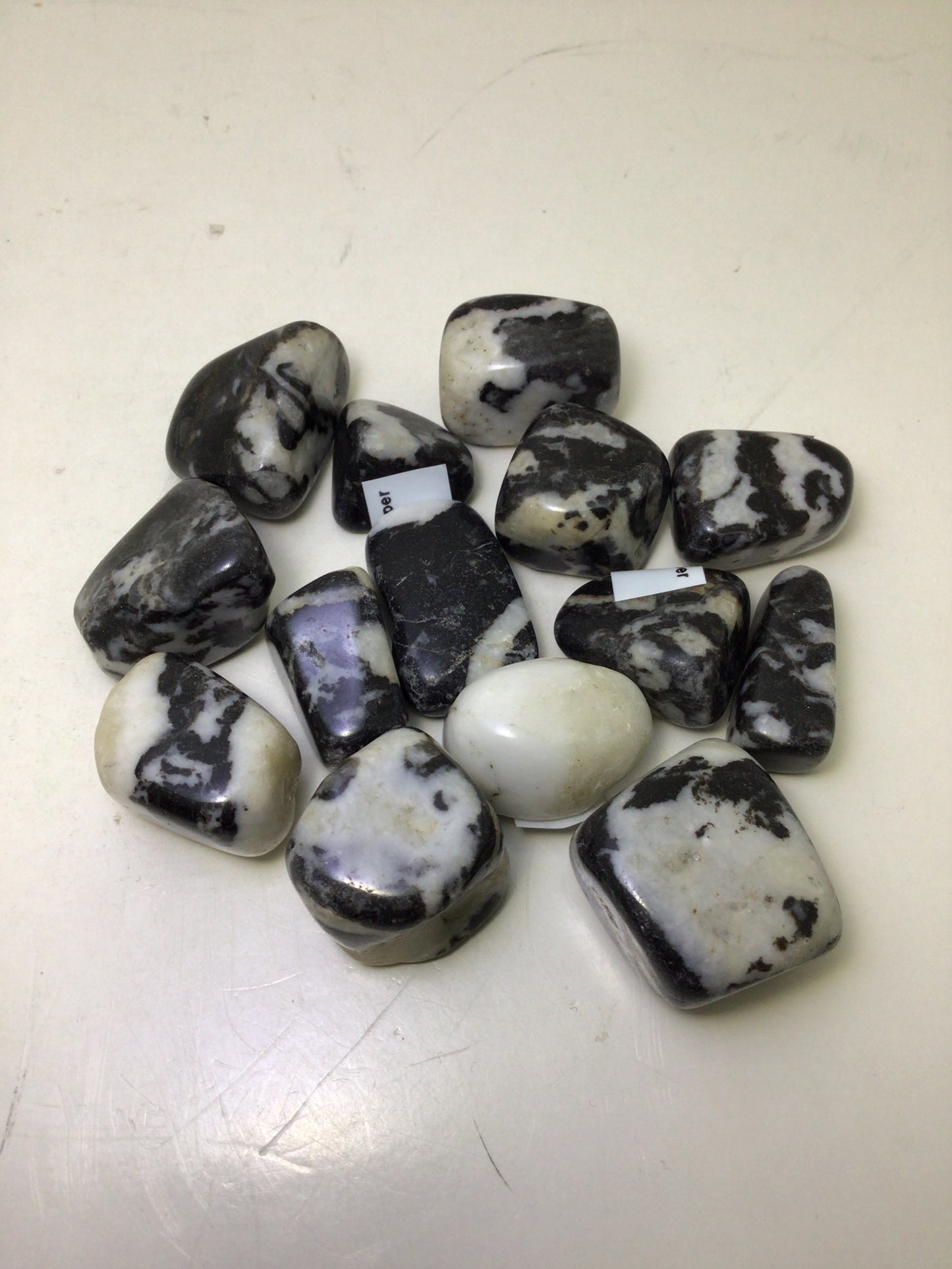 Zebra Jasper