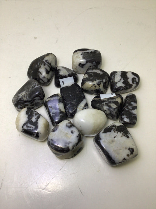 Zebra Jasper
