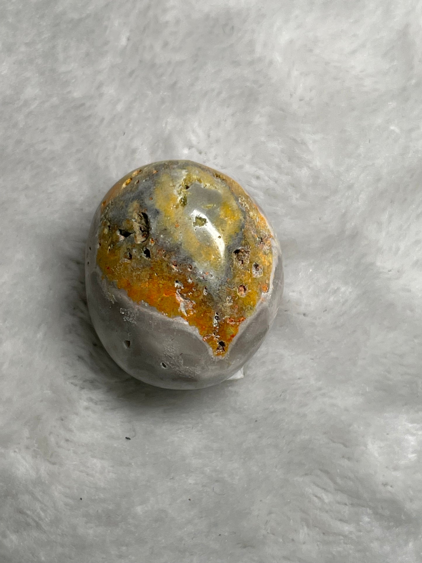 Bumblebee Jasper