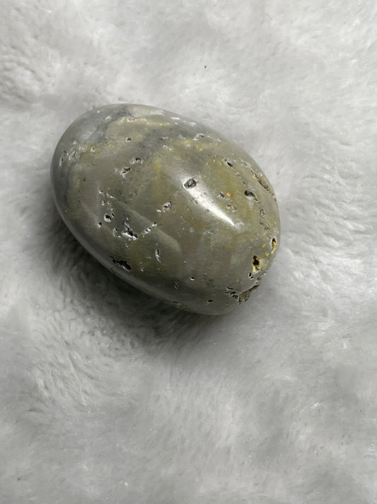 Bumblebee Jasper