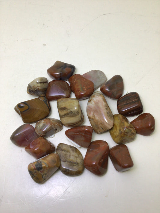 Petrified Wood