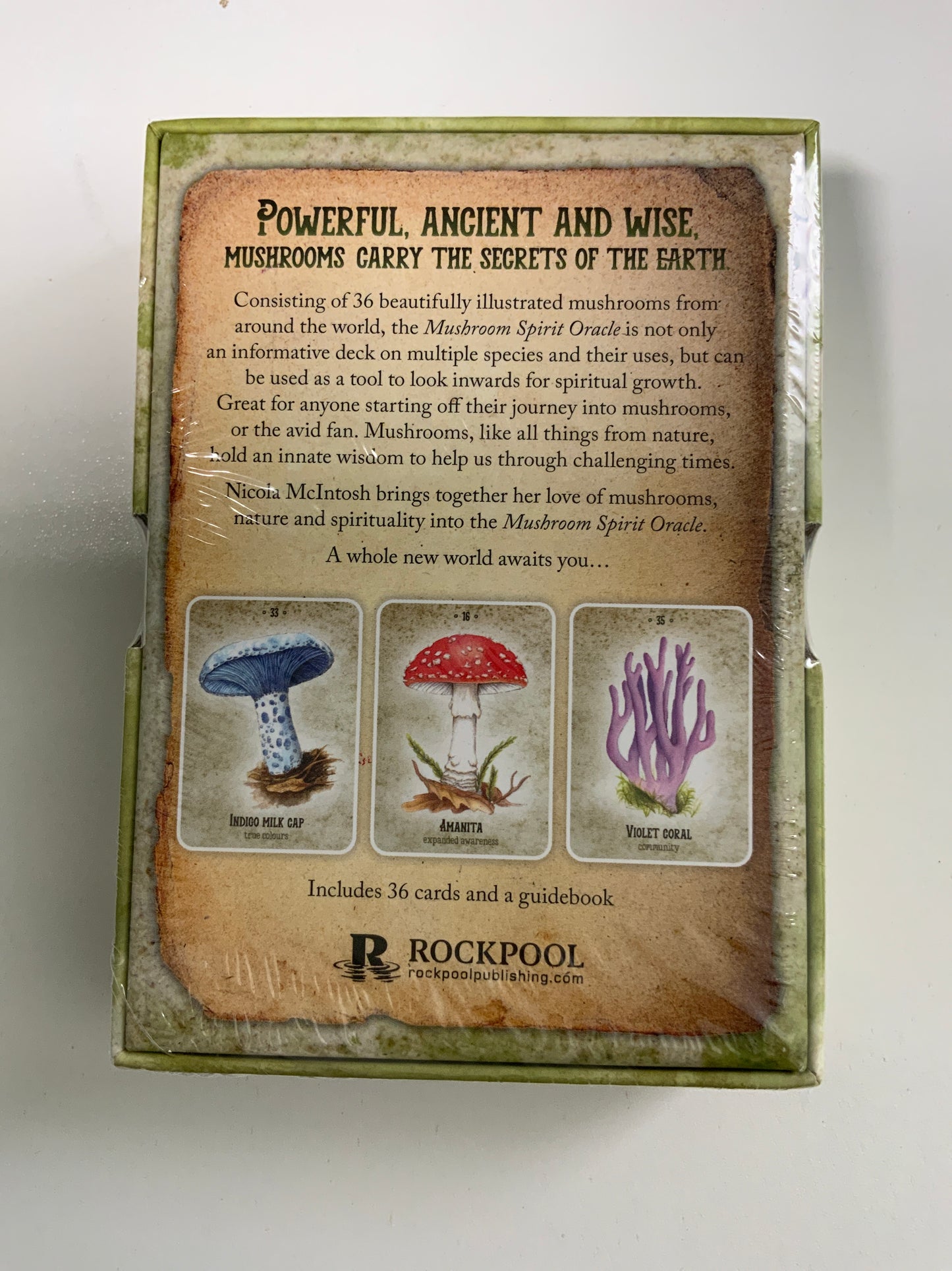 Mushroom Spirit Oracle
