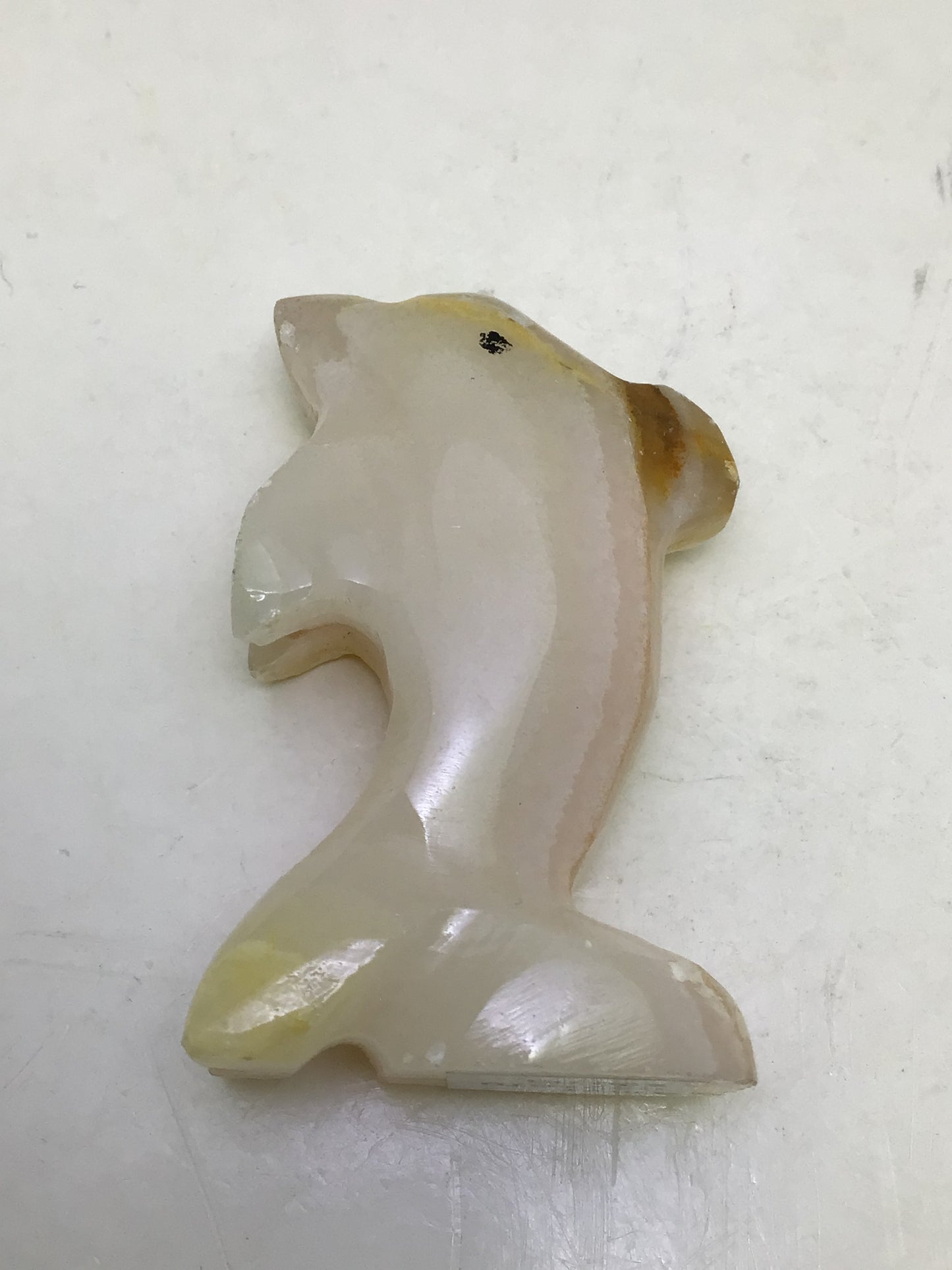 Onyx Dolphin