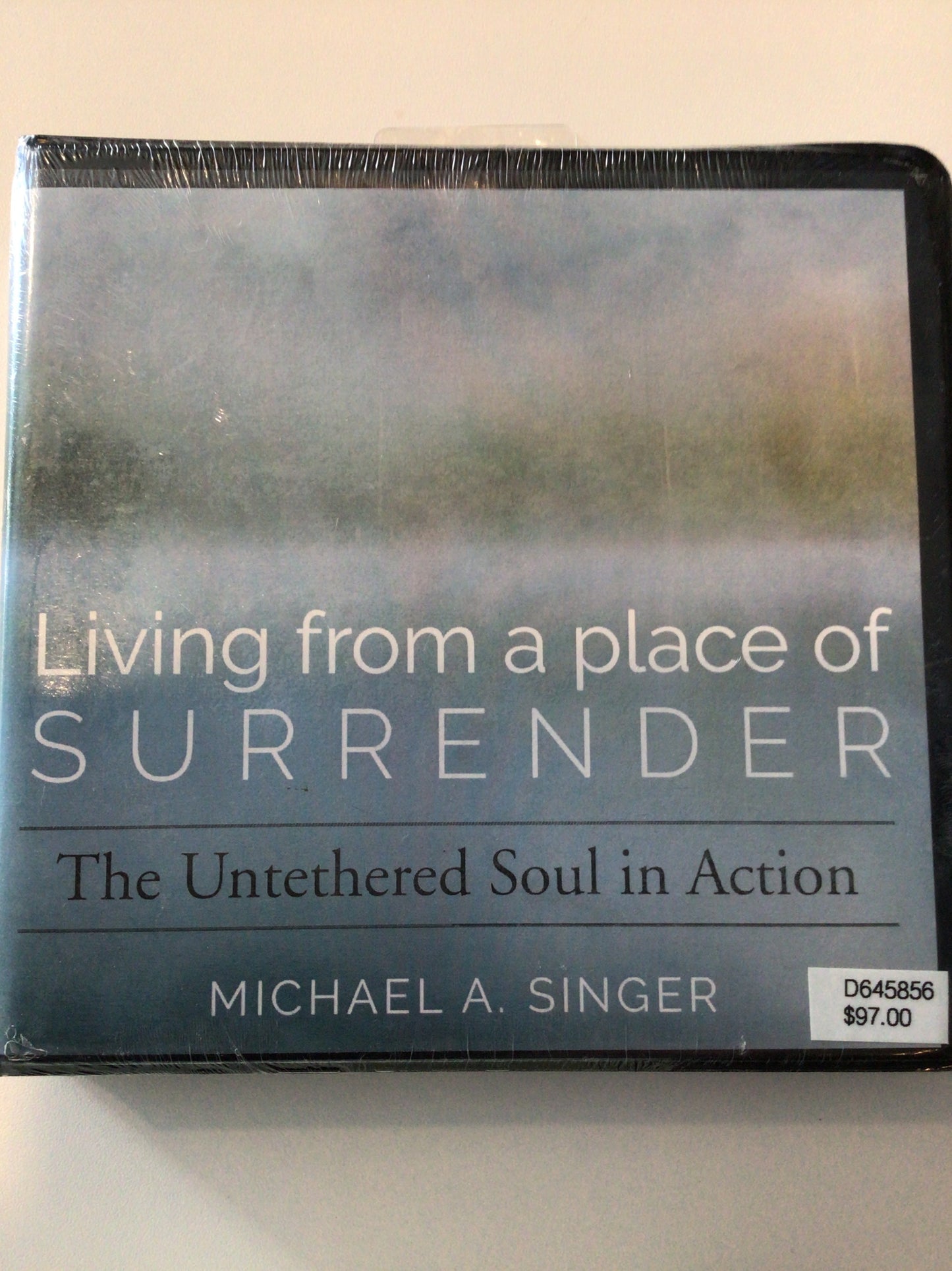 Living from a place of Surrender - The Untethered Soul in Action CD Set