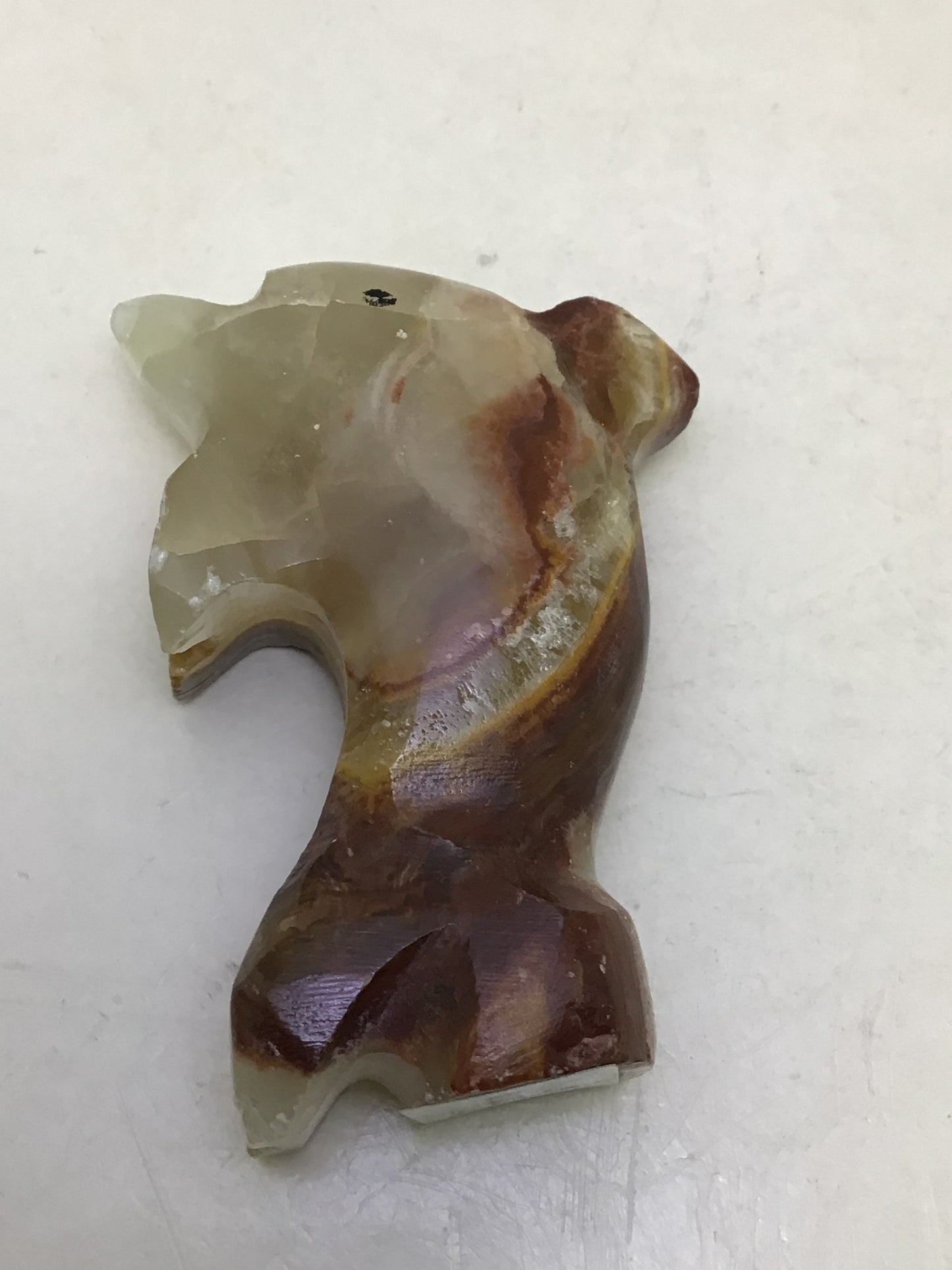 Onyx Dolphin