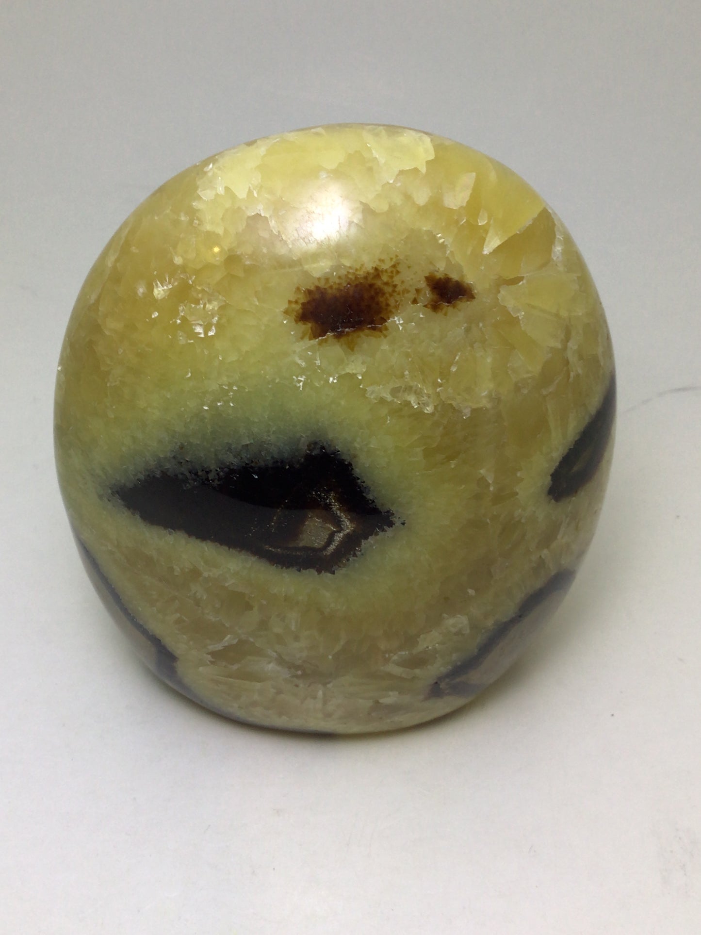 Septarian Freeform
