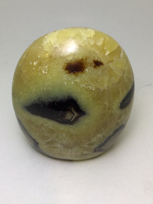 Septarian Freeform