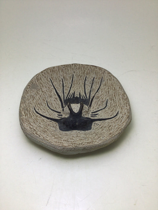 Trilobite