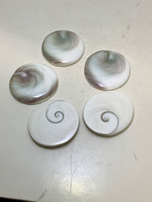 Shiva Shell