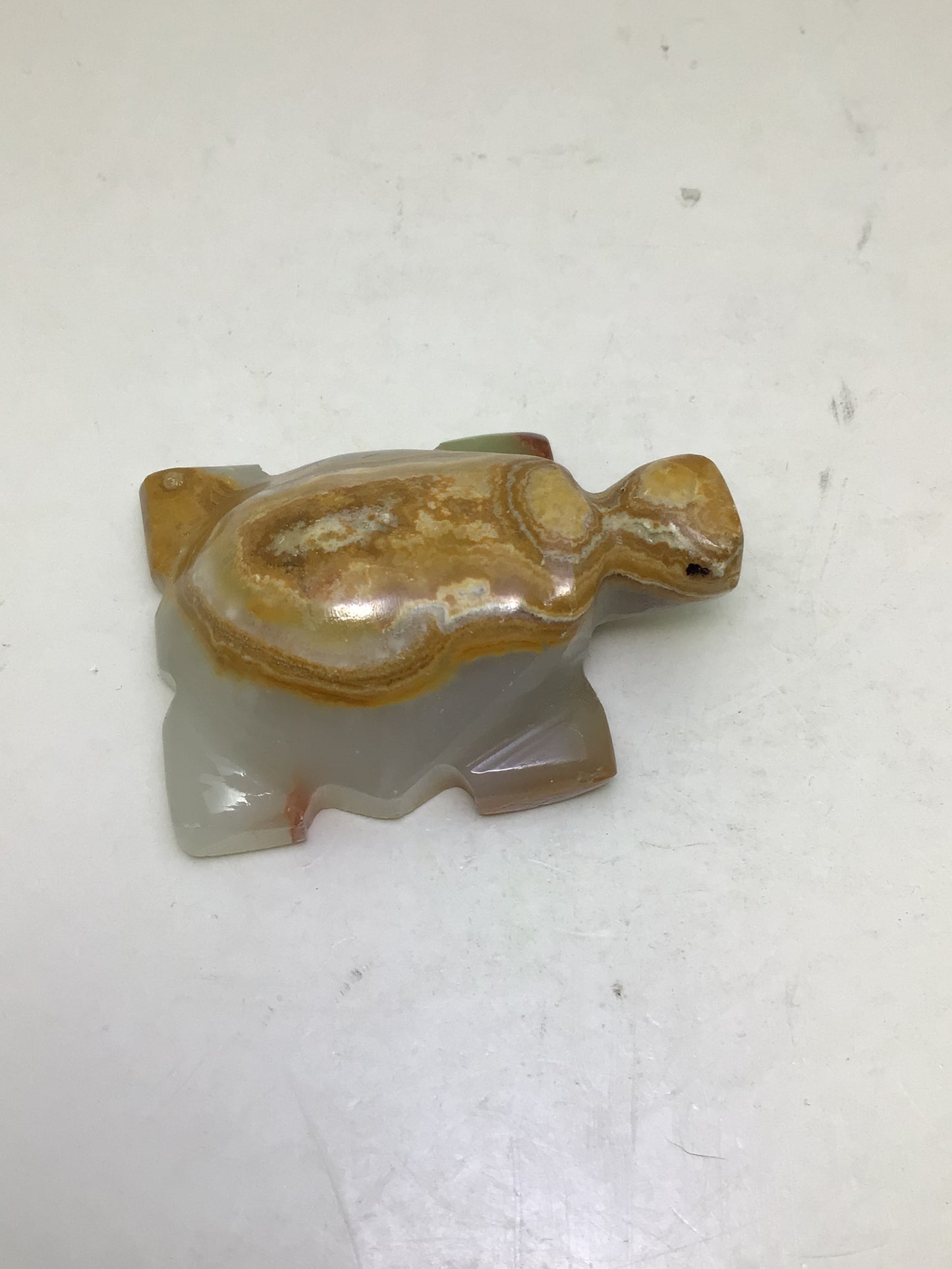 Onyx Turtle
