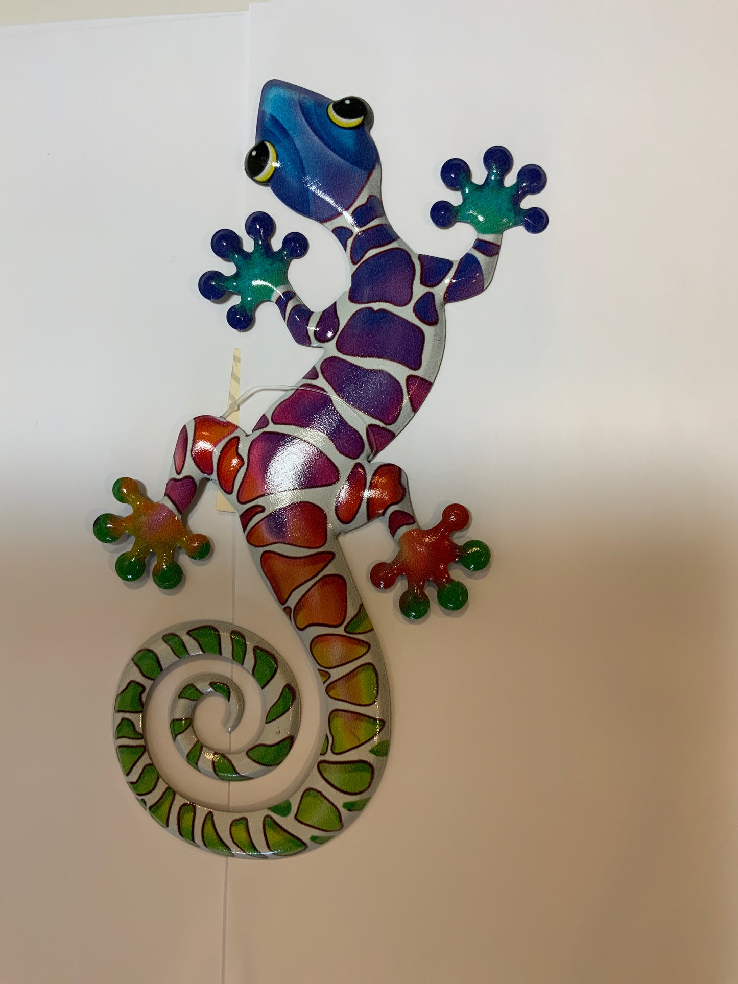 8" Rainbow Gecko