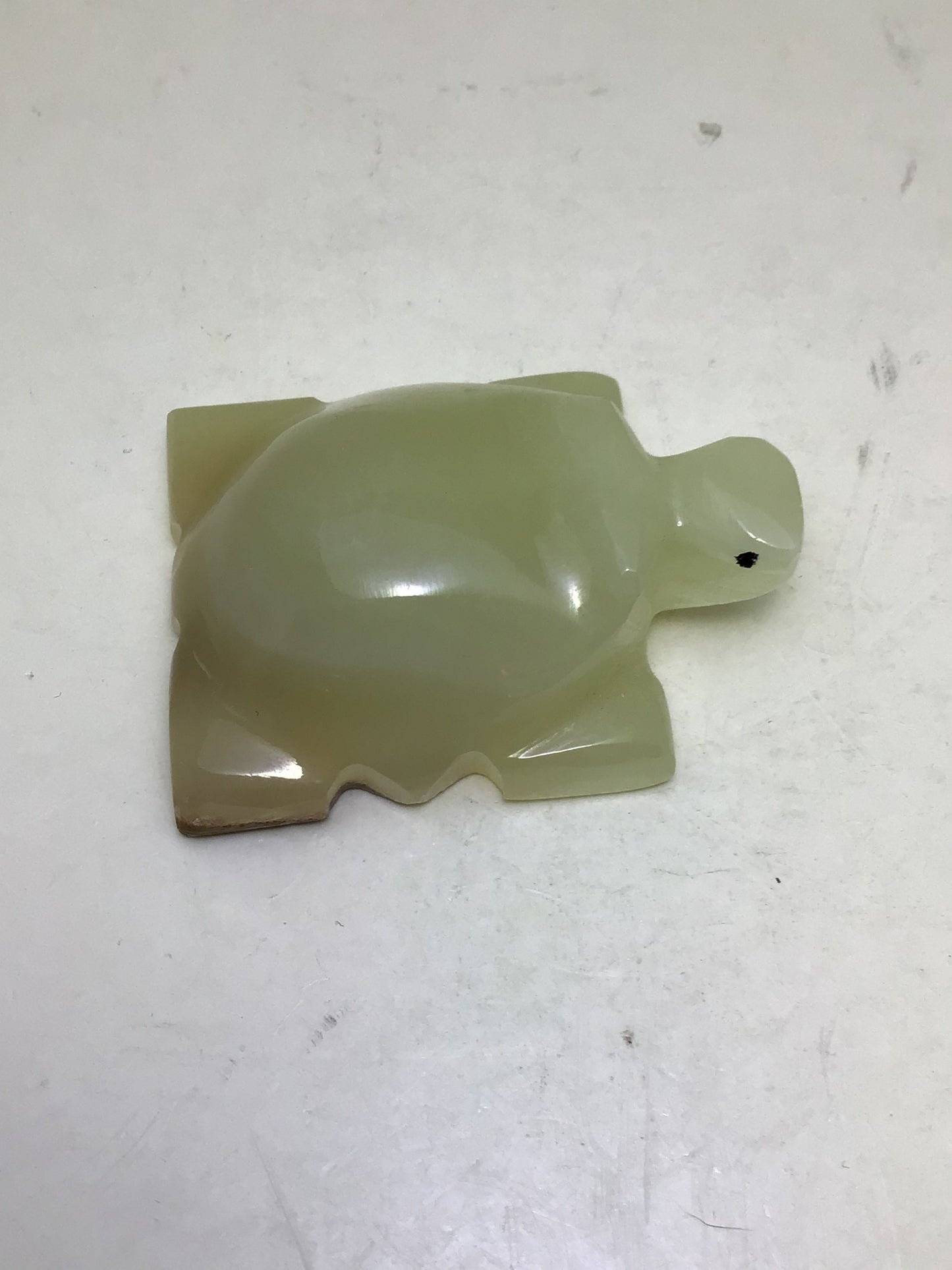 Onyx Turtle