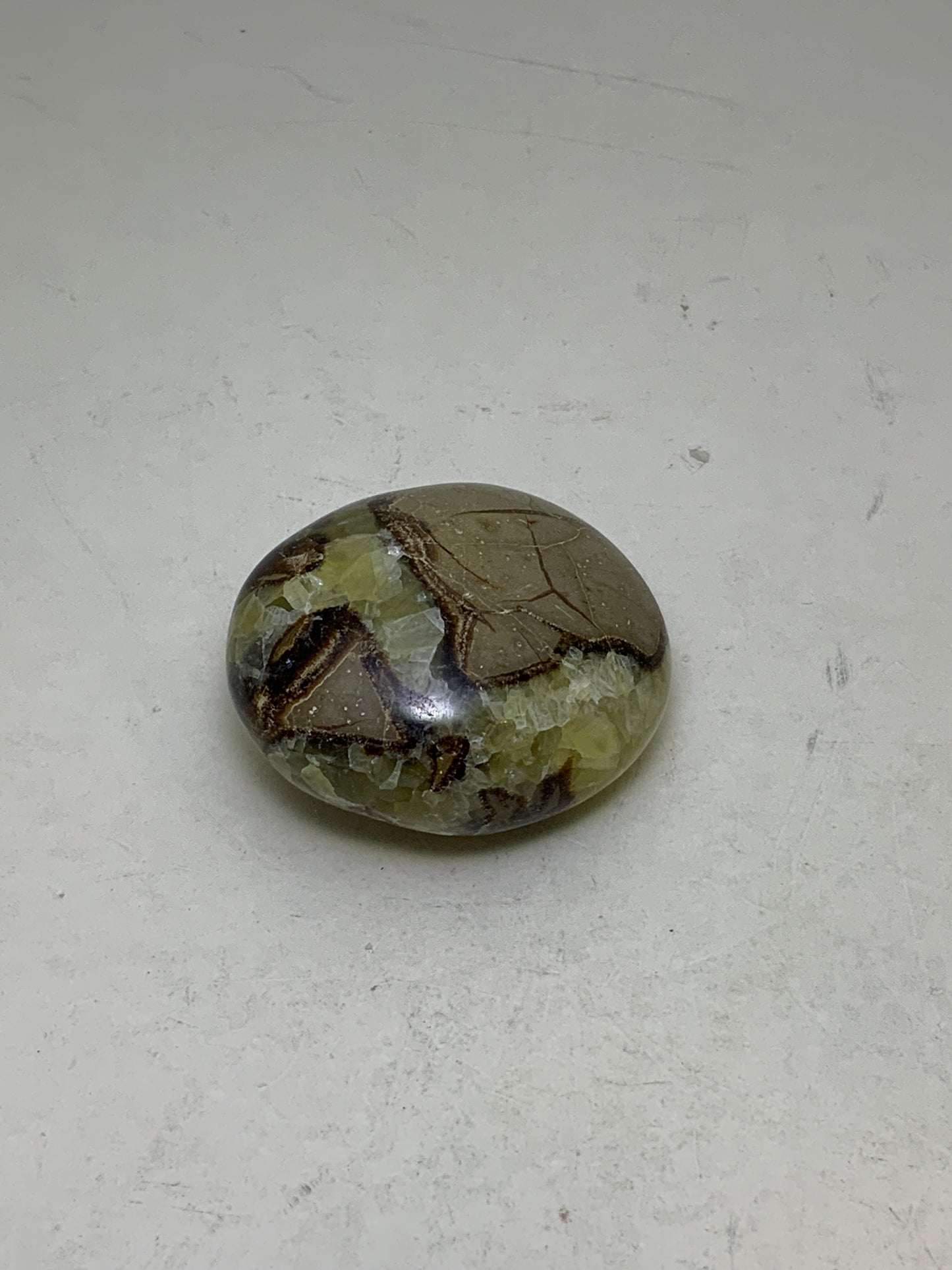 Septarian Nugget