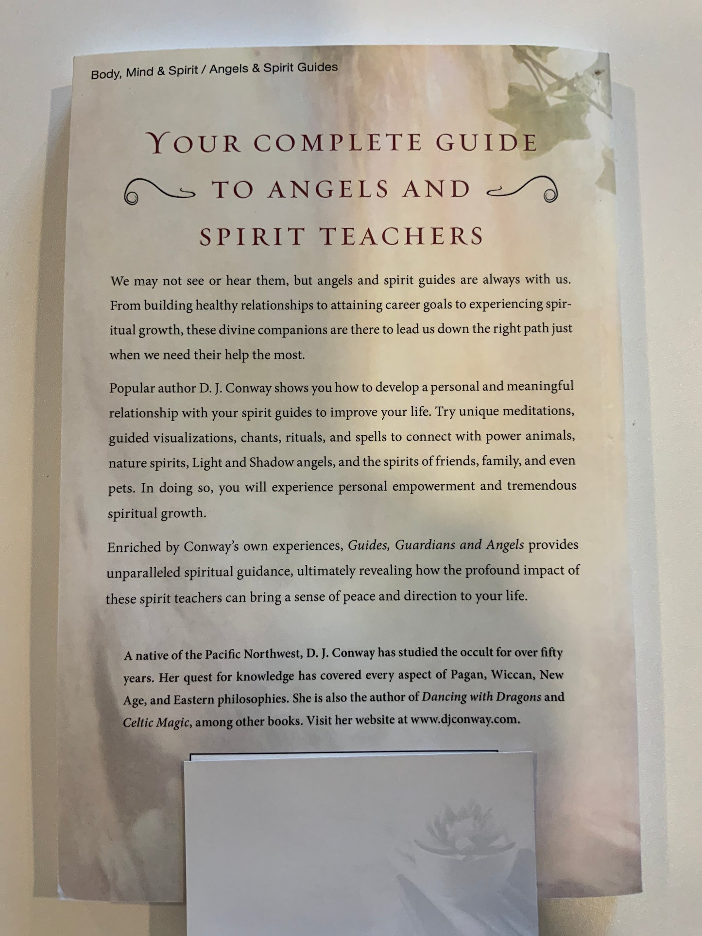 Guides, Guardians and Angels