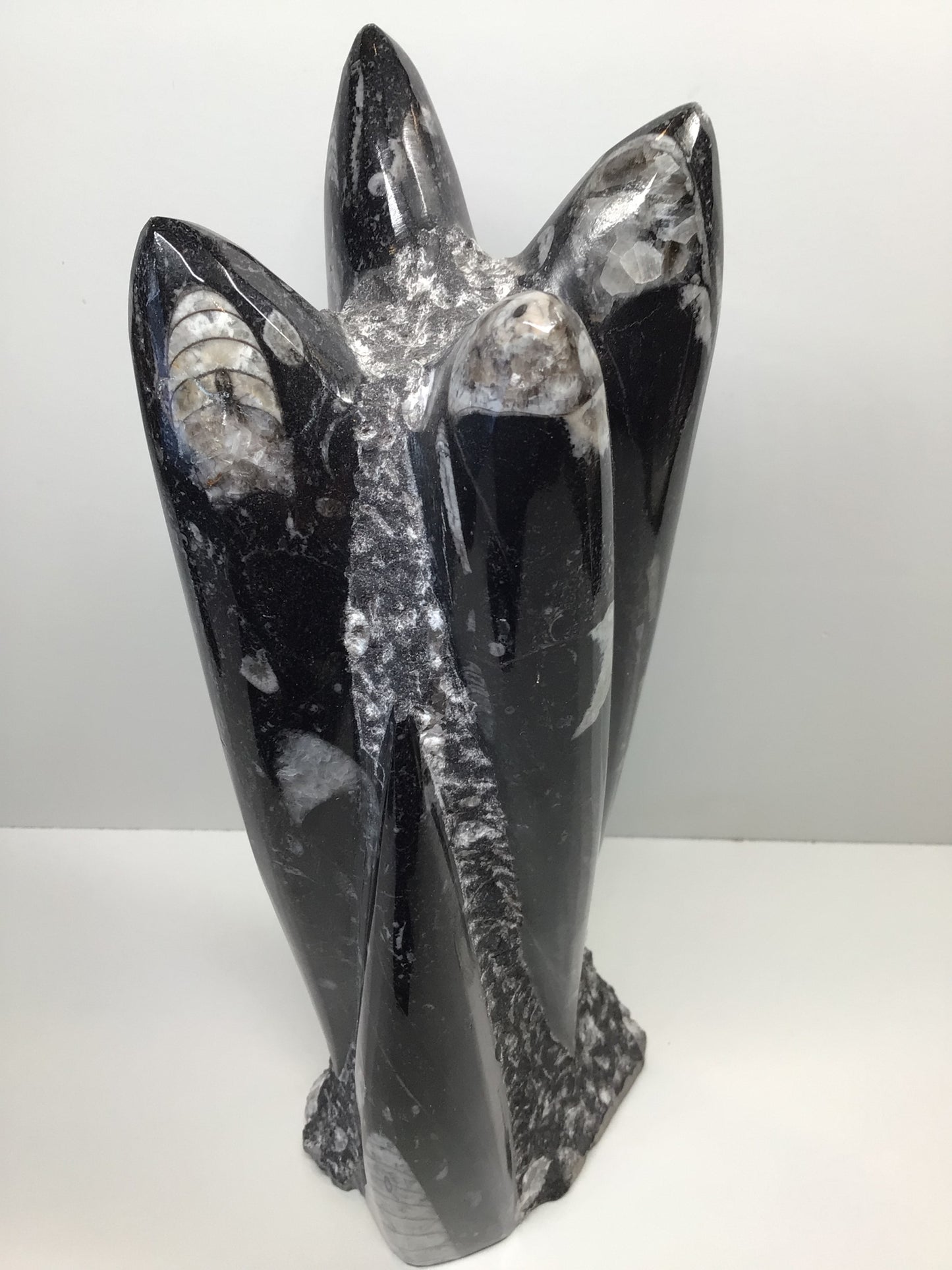 Orthosera Tower