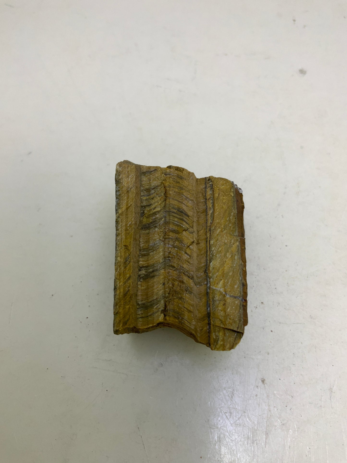 Tiger Eye