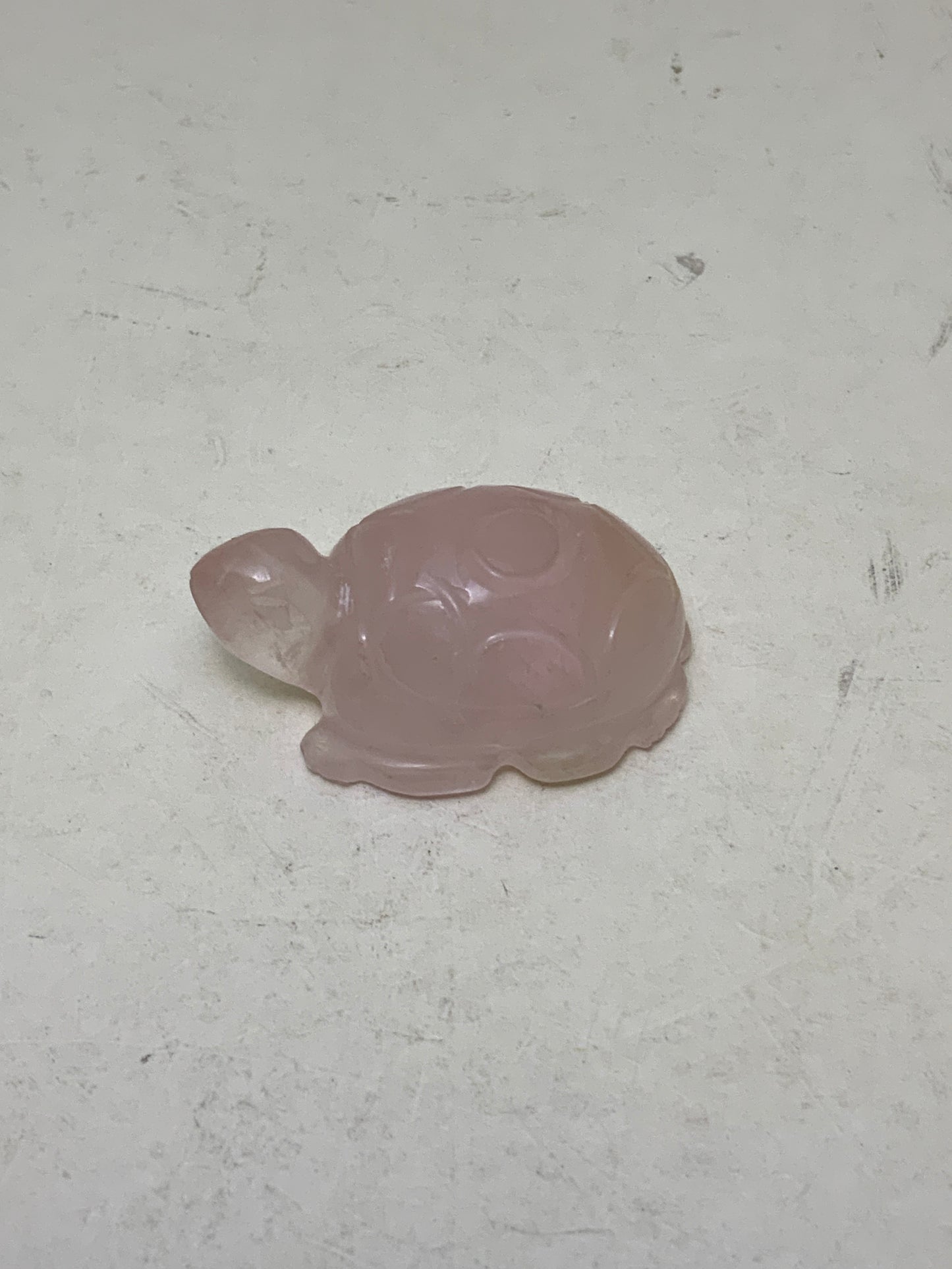 Stone Carved Turtle
