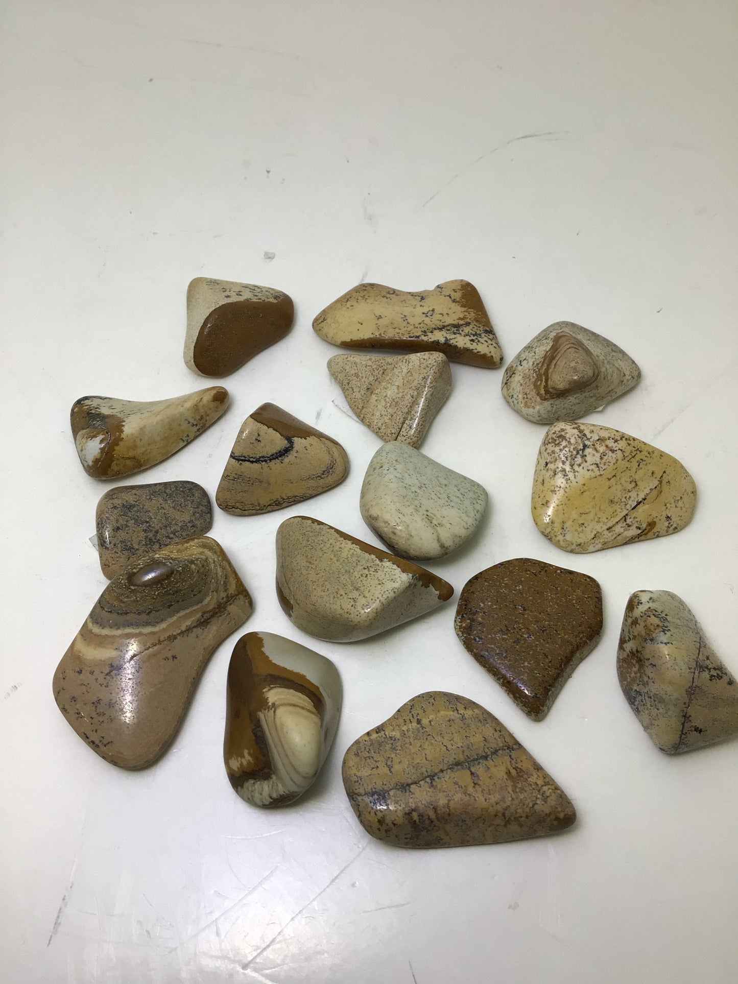 Picture Jasper
