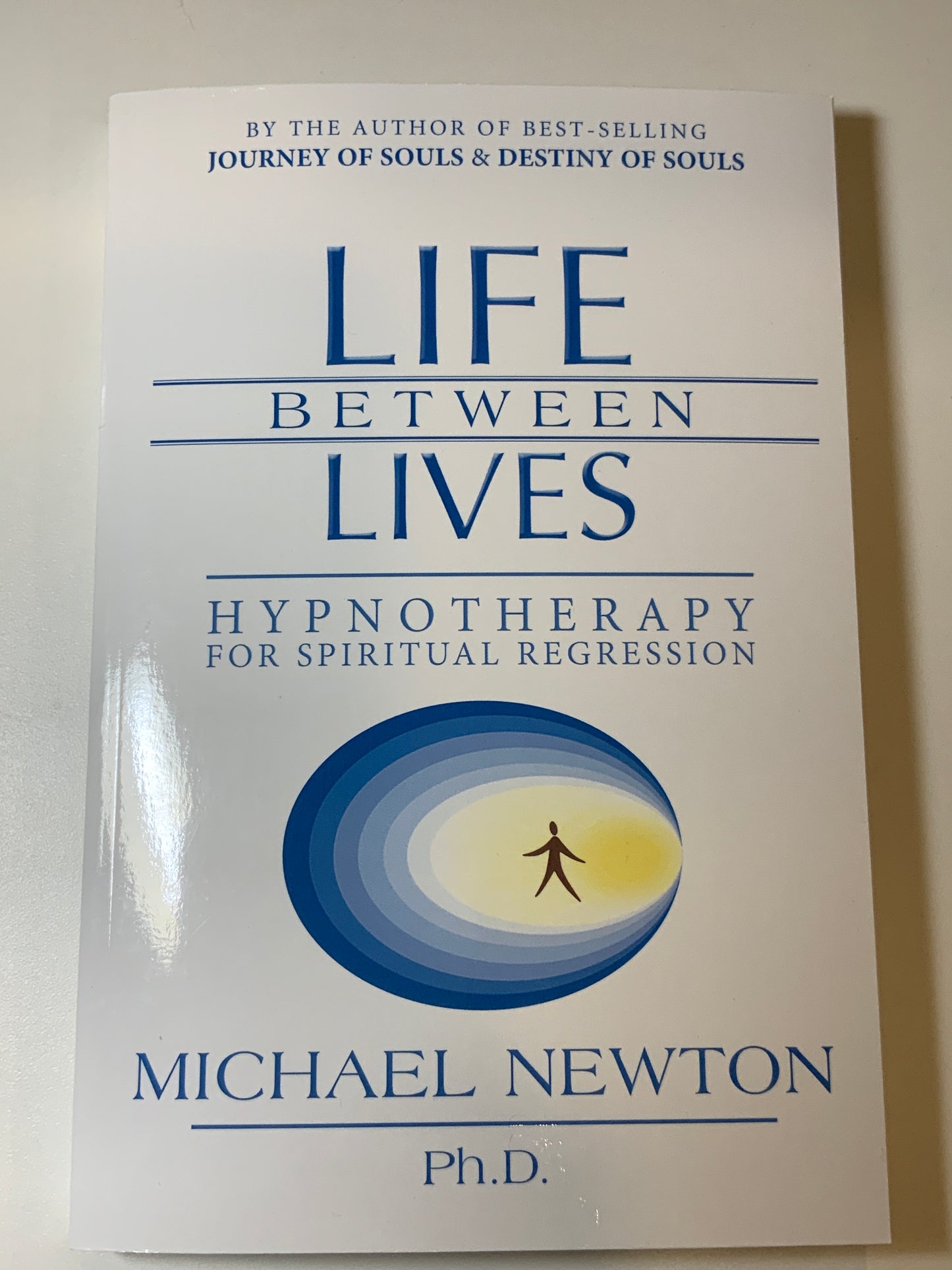 Life Between Lives