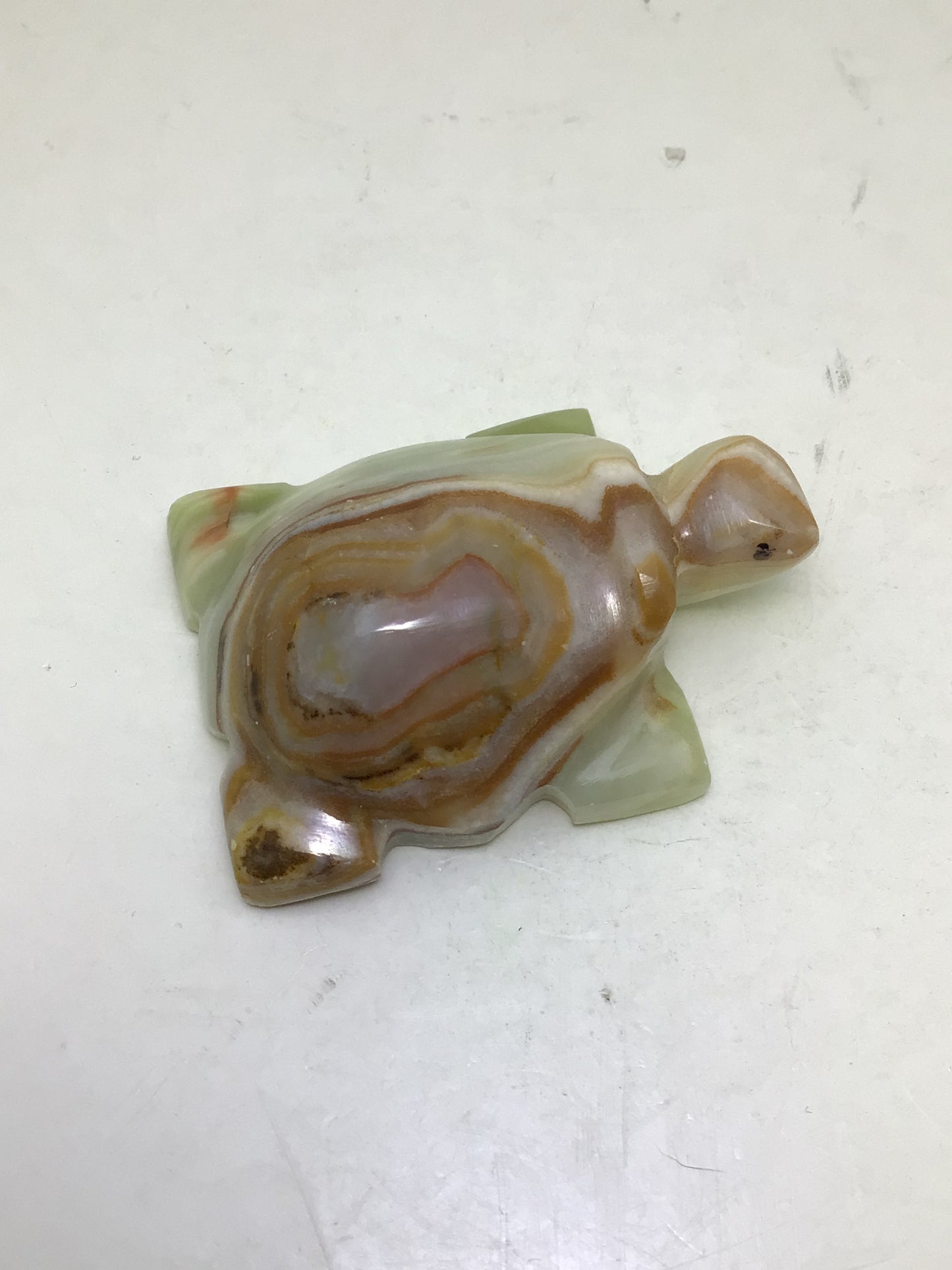 Onyx Turtle