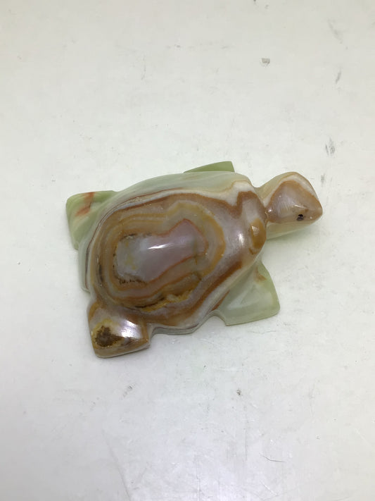 Onyx Turtle