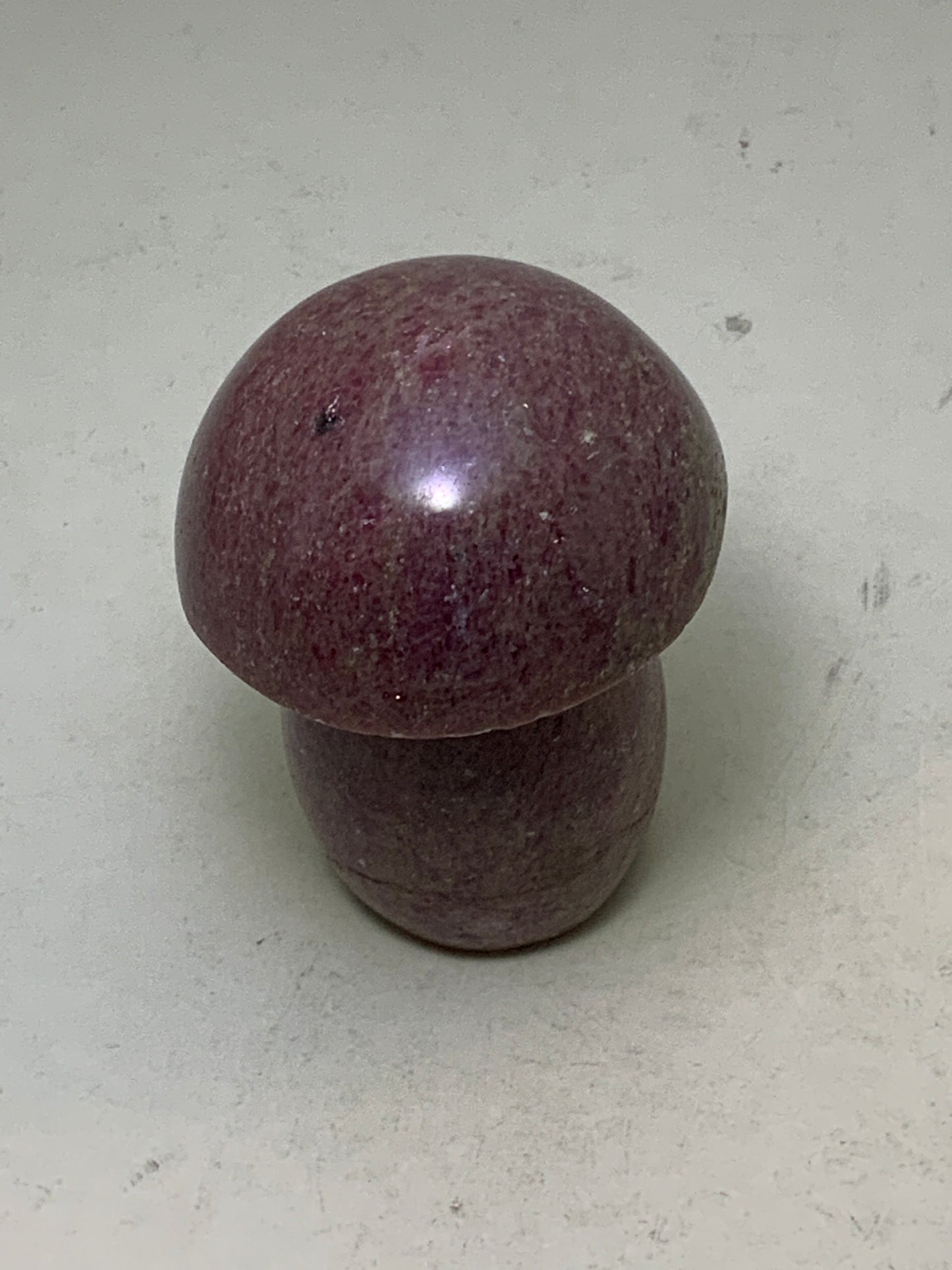 Gemstone Mushroom