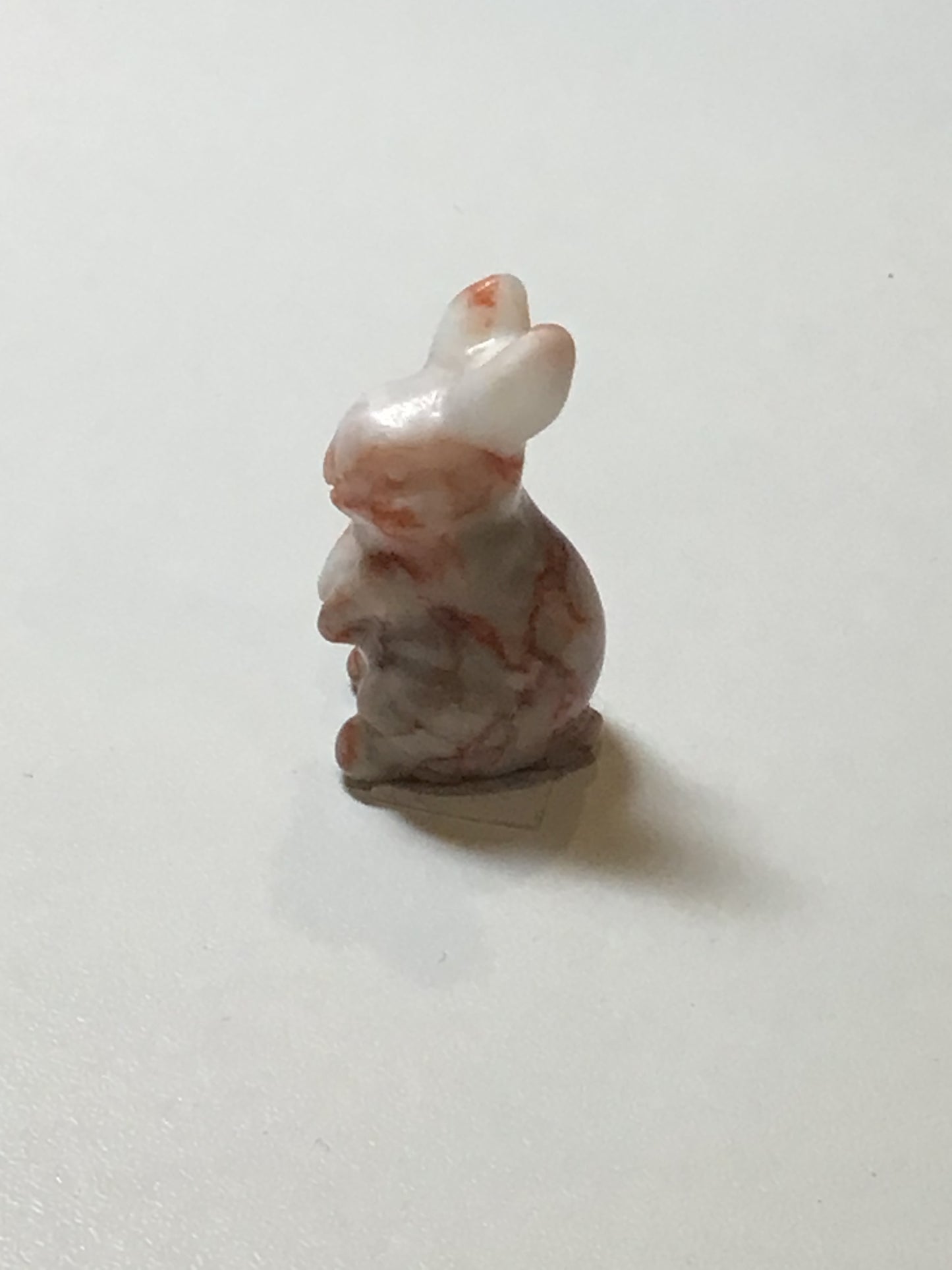 Jasper Rabbit