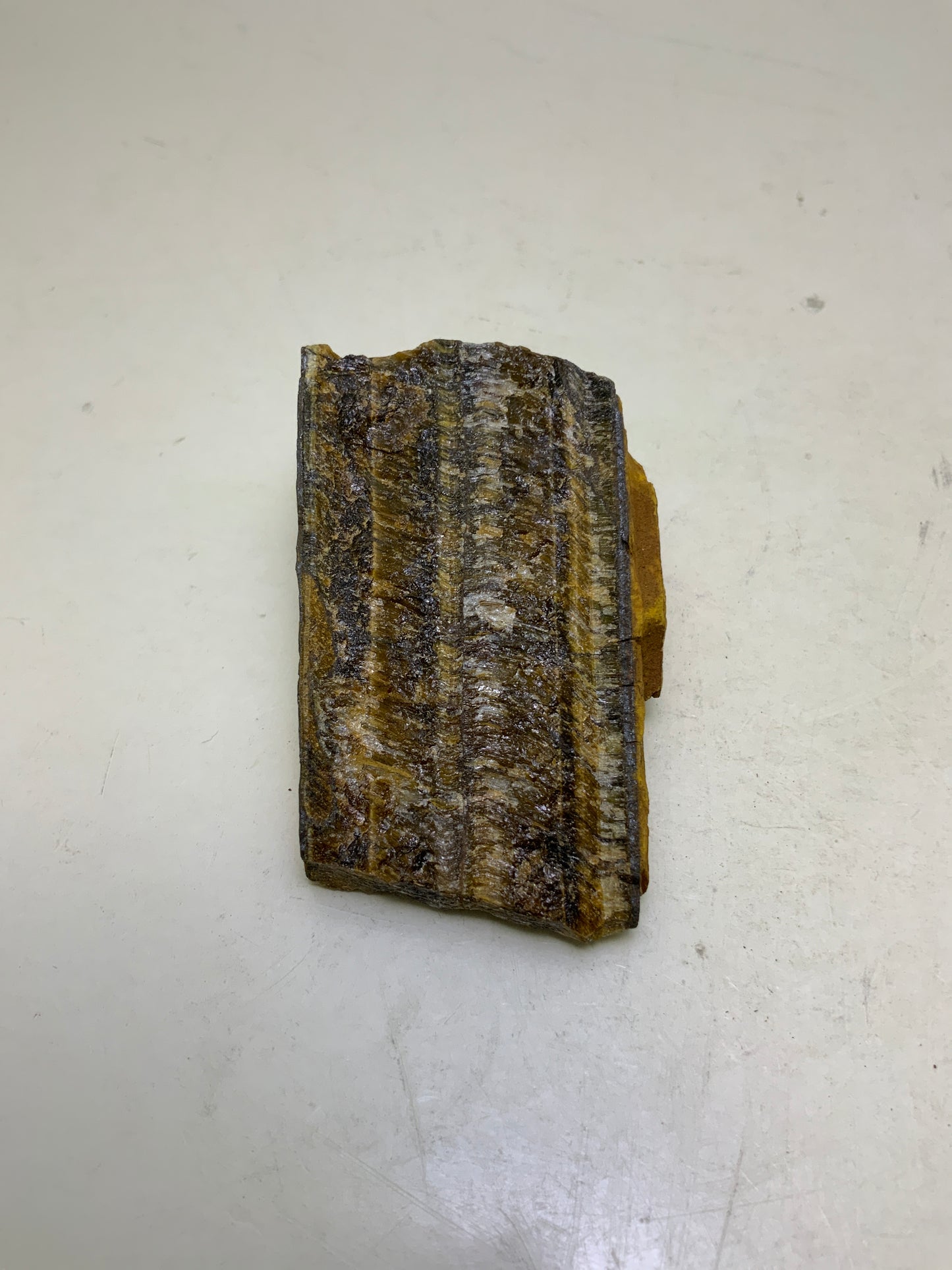 Tiger Eye