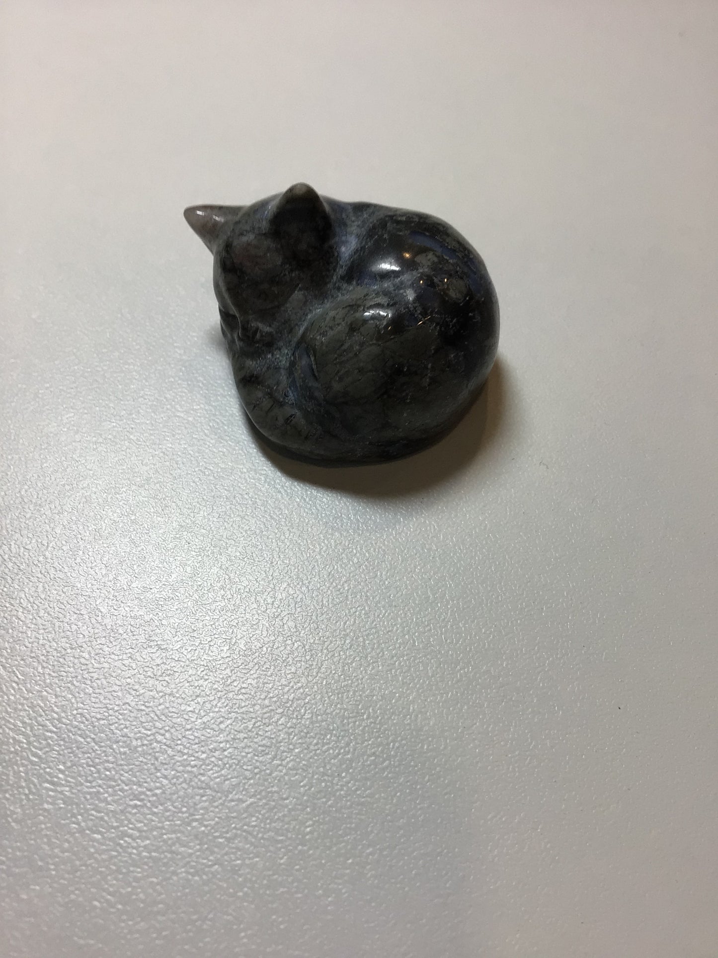 Mapstone Cat Napping