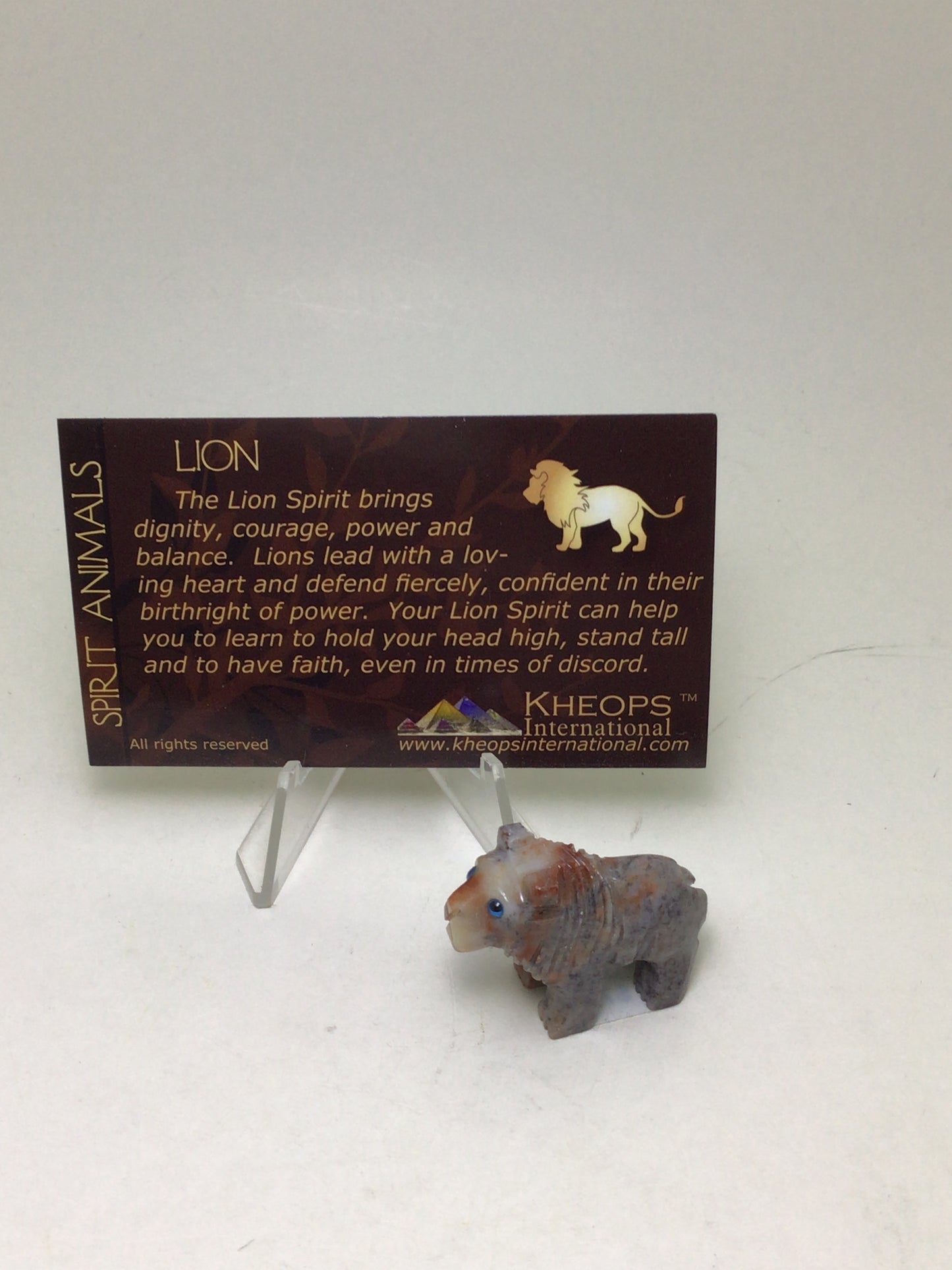 Lion Spirit Animal