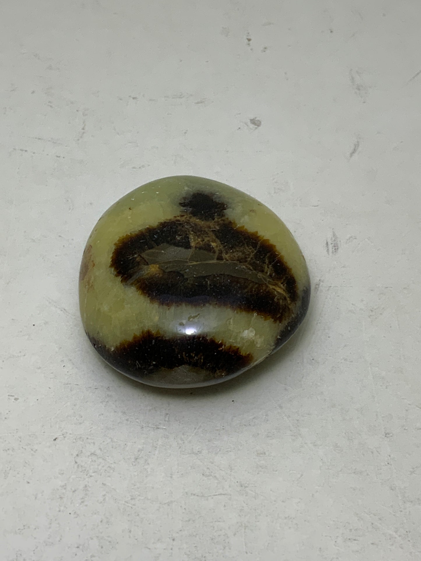Septarian Nugget