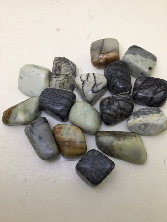 Picasso Jasper