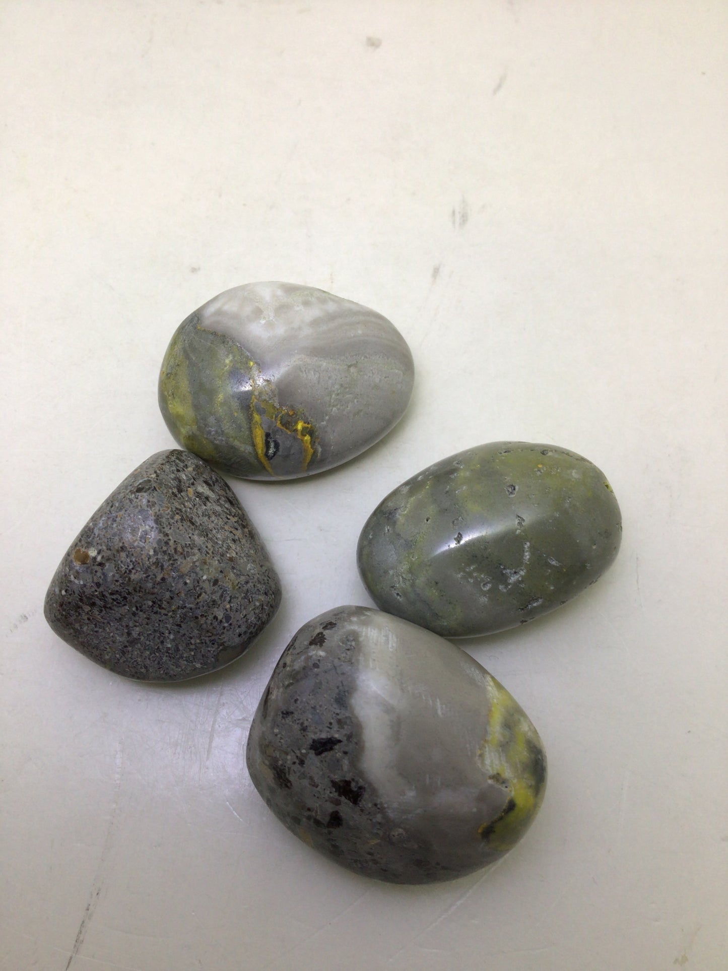 Bumblebee Jasper