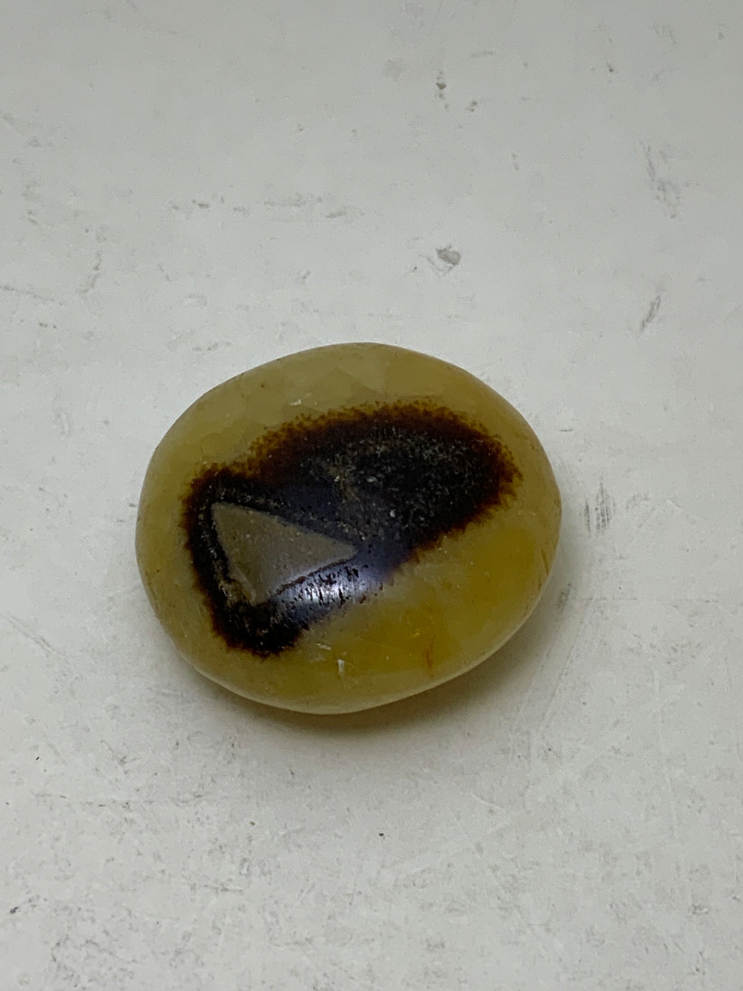 Septarian Nugget