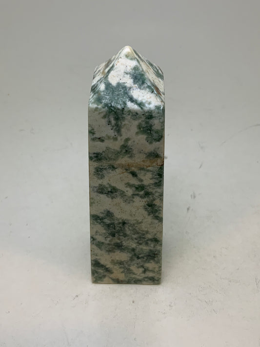 Green Tree Agate Point
