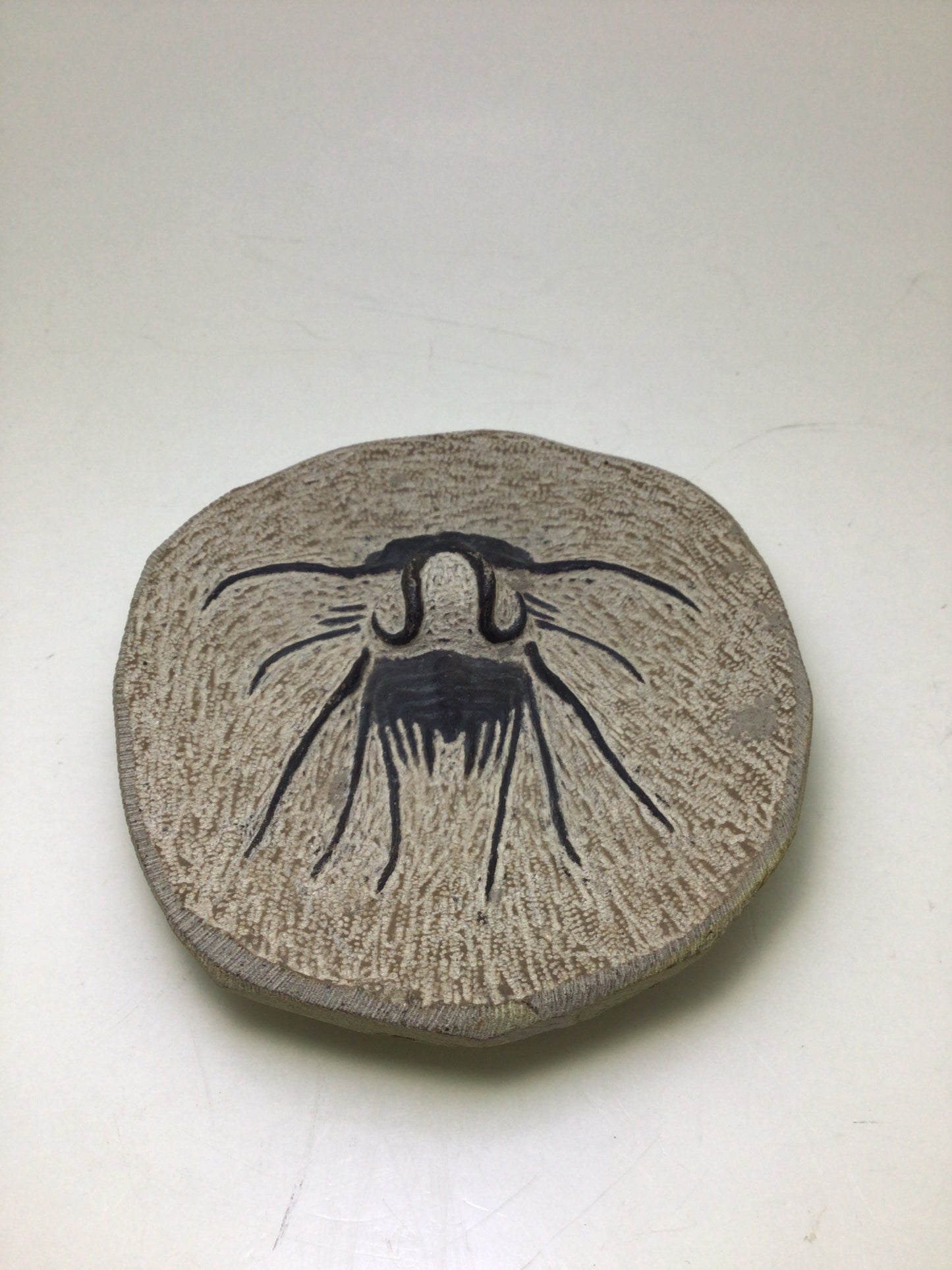 Trilobite