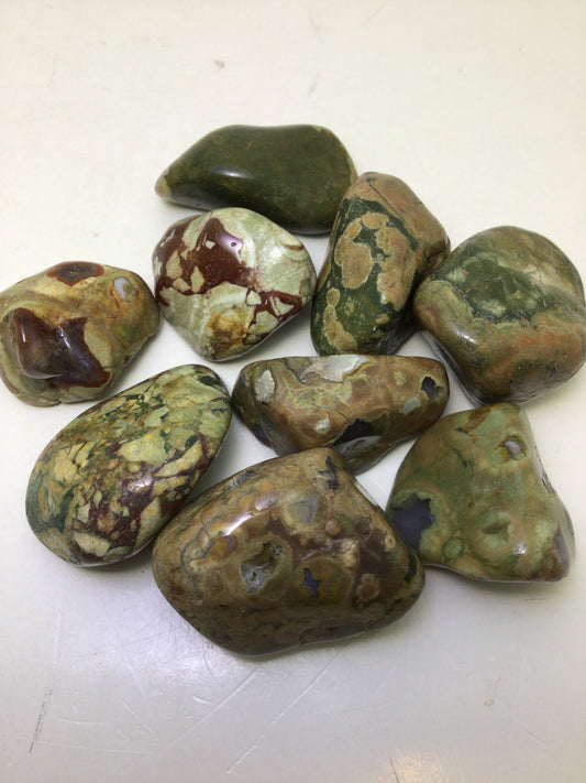 Rainforest Jasper
