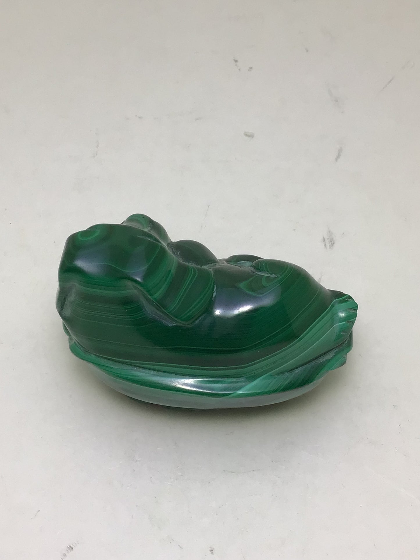 Green Malachite Dog