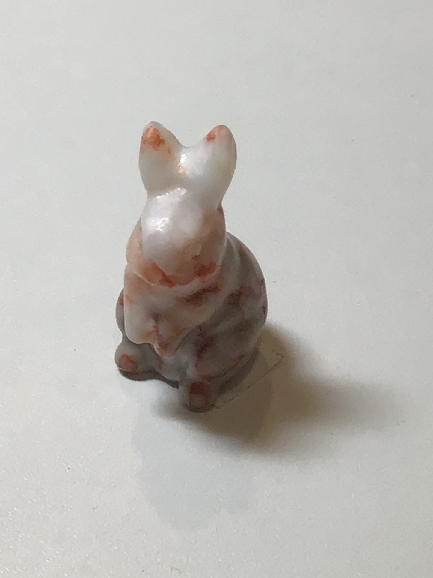 Jasper Rabbit