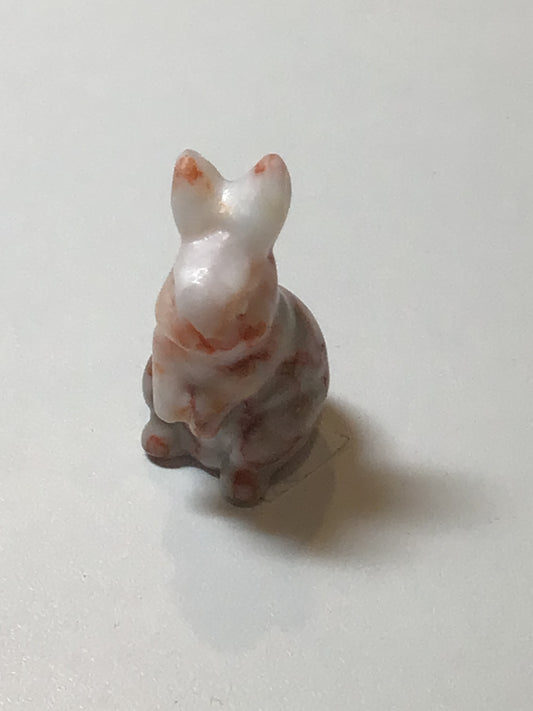 Jasper Rabbit