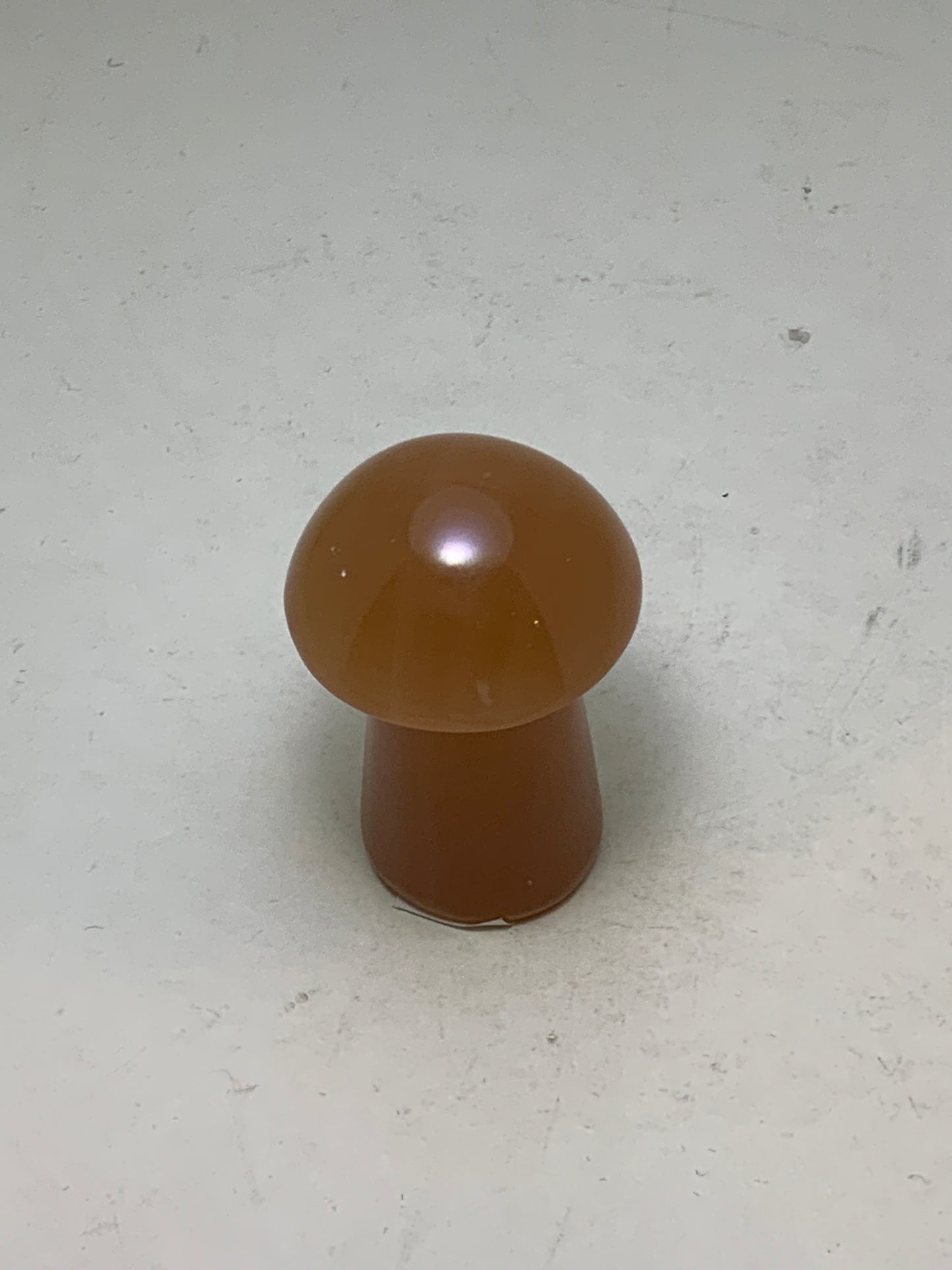 Gemstone Mushroom