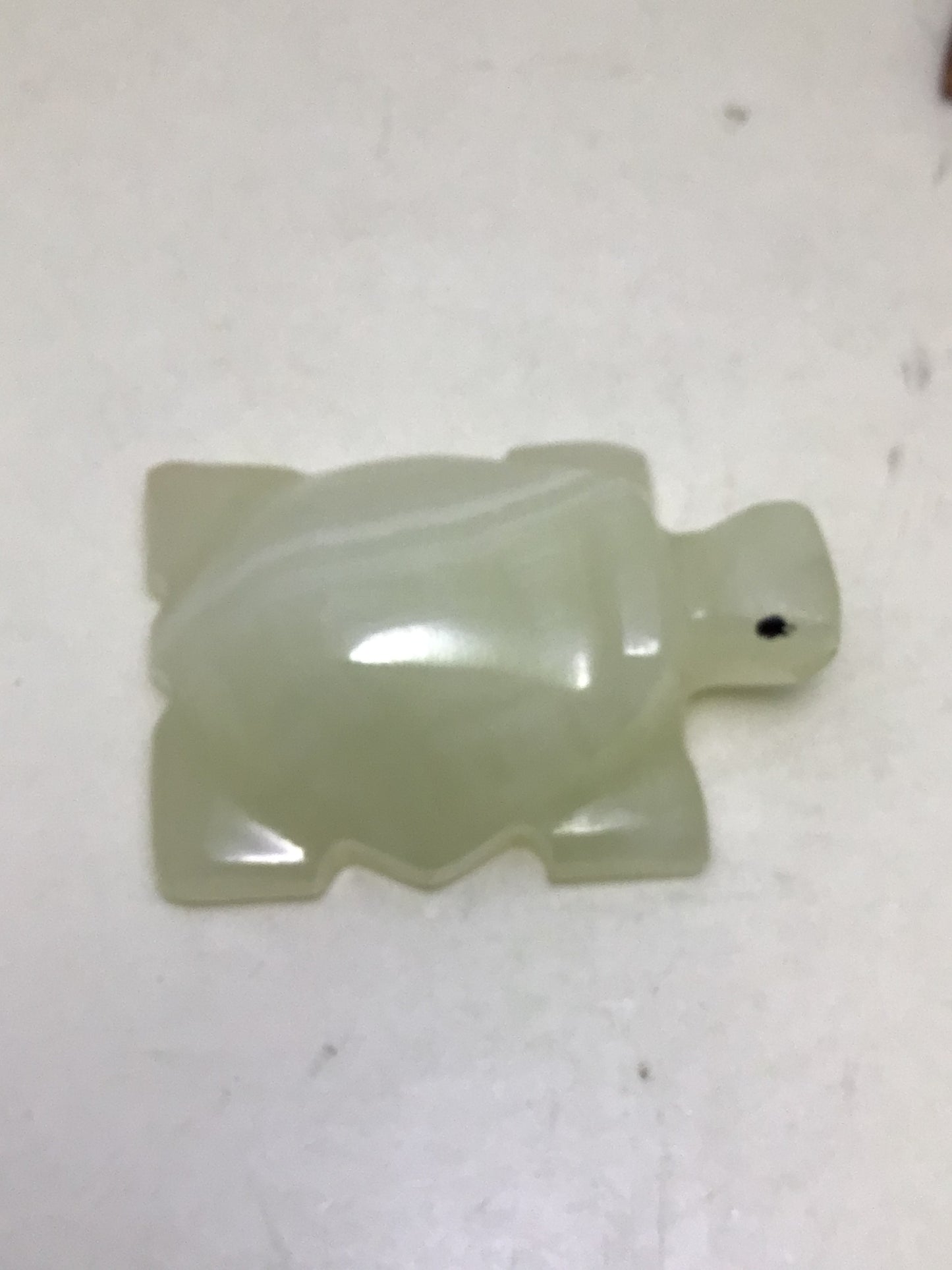 Onyx Turtle
