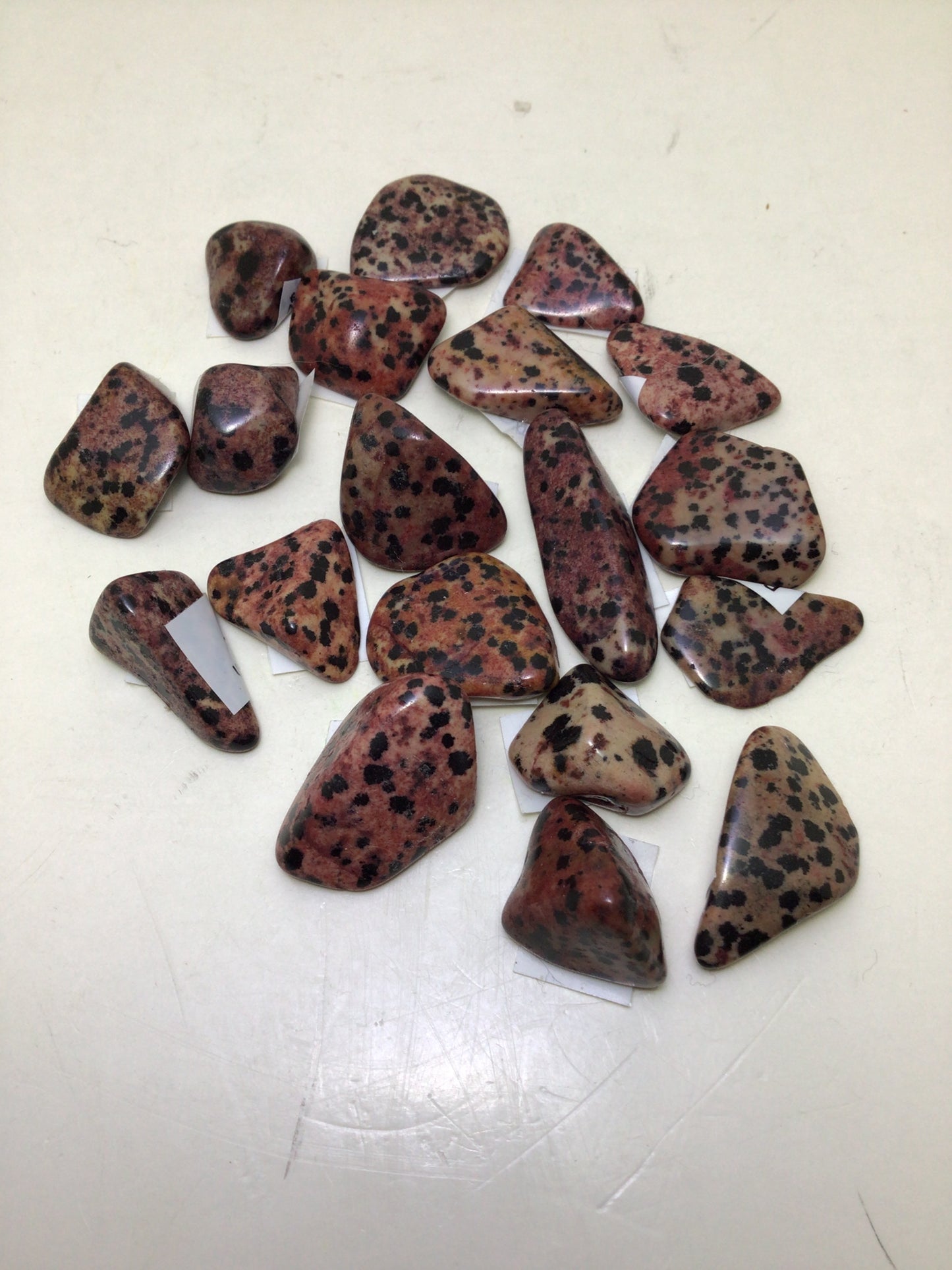 Red Dalmation Jasper