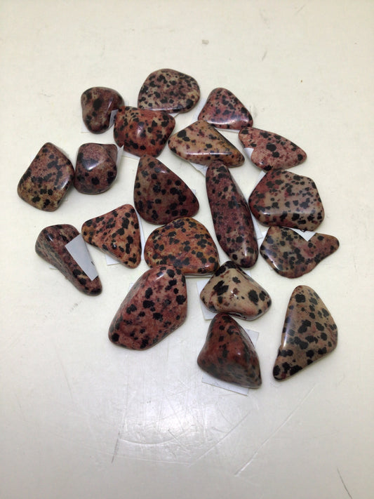 Red Dalmation Jasper