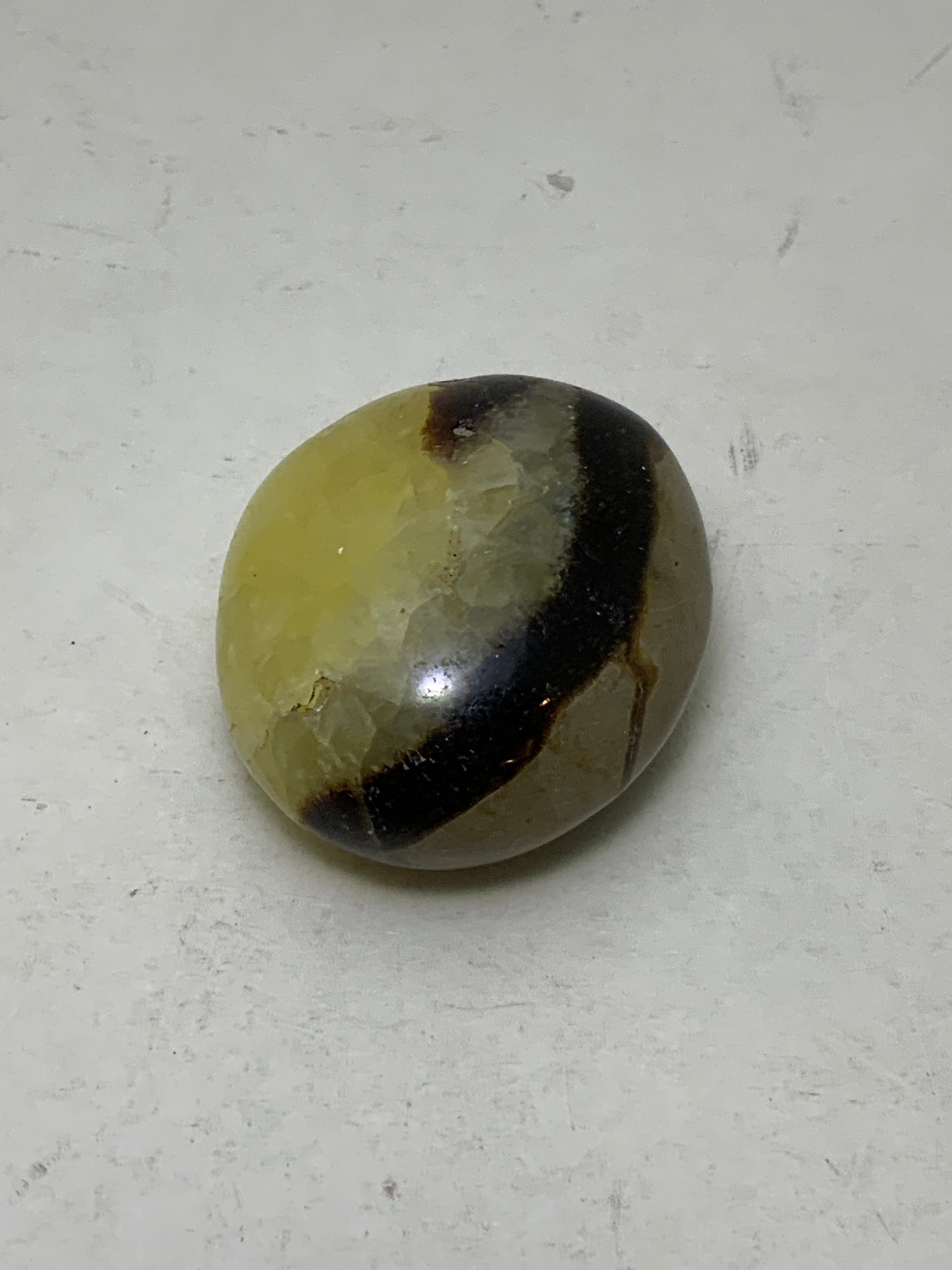 Septarian Nugget